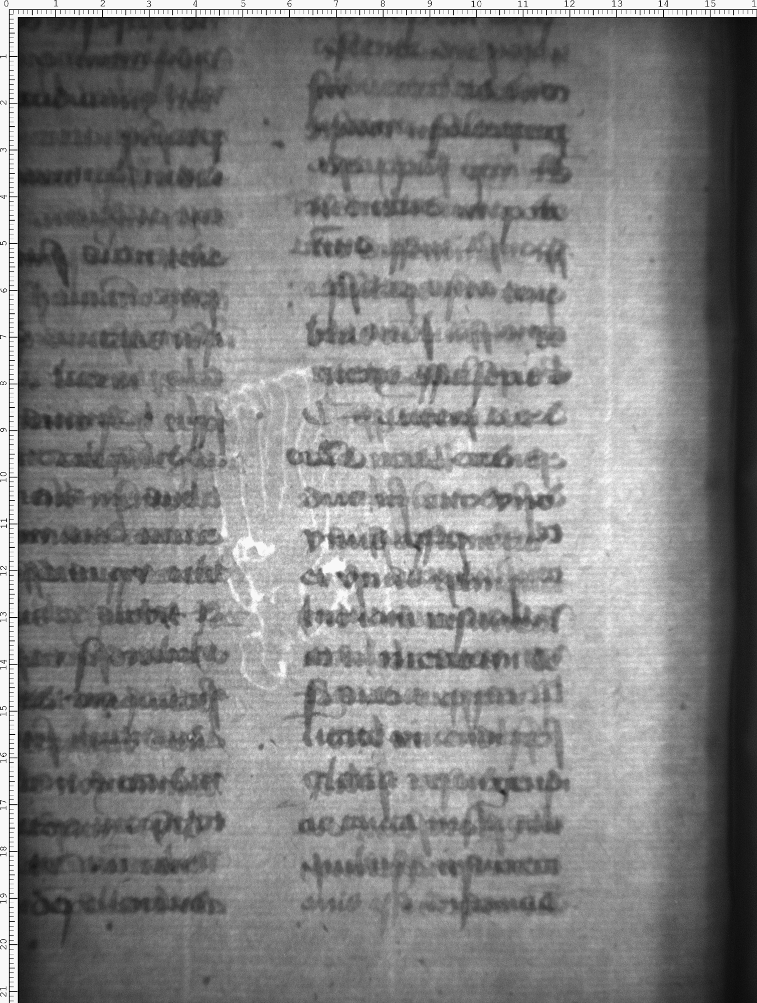 Watermark