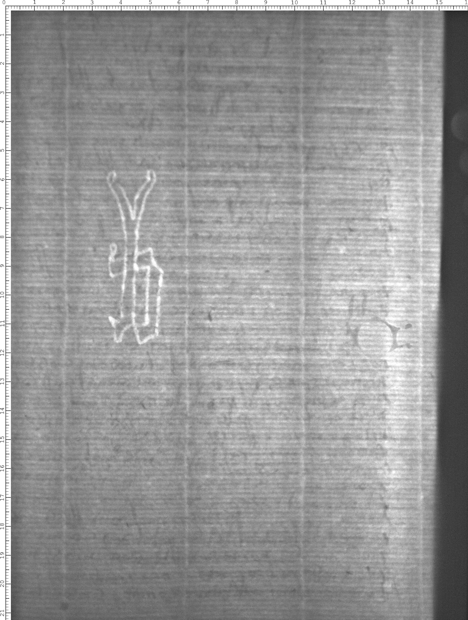 Watermark