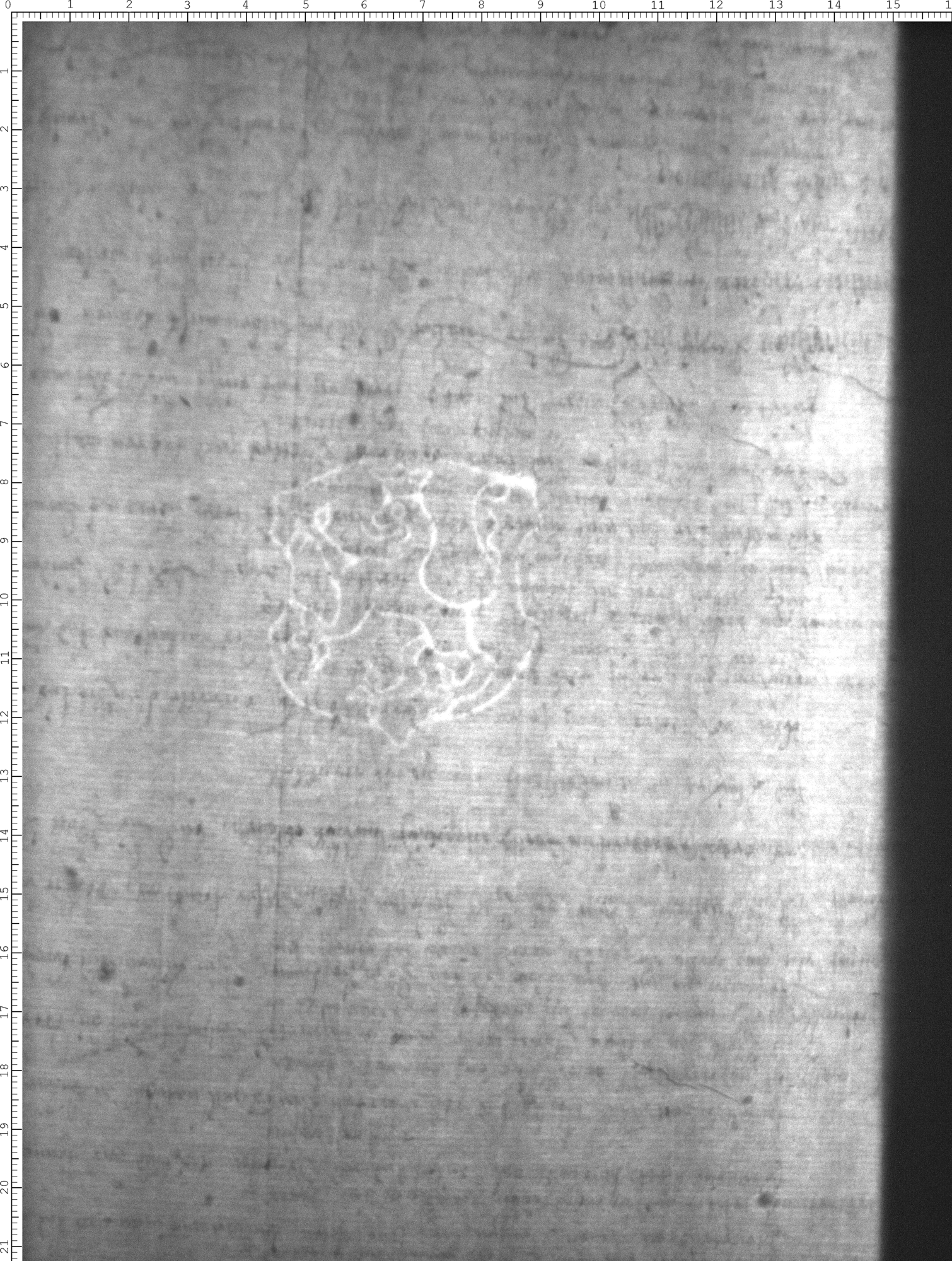 Watermark