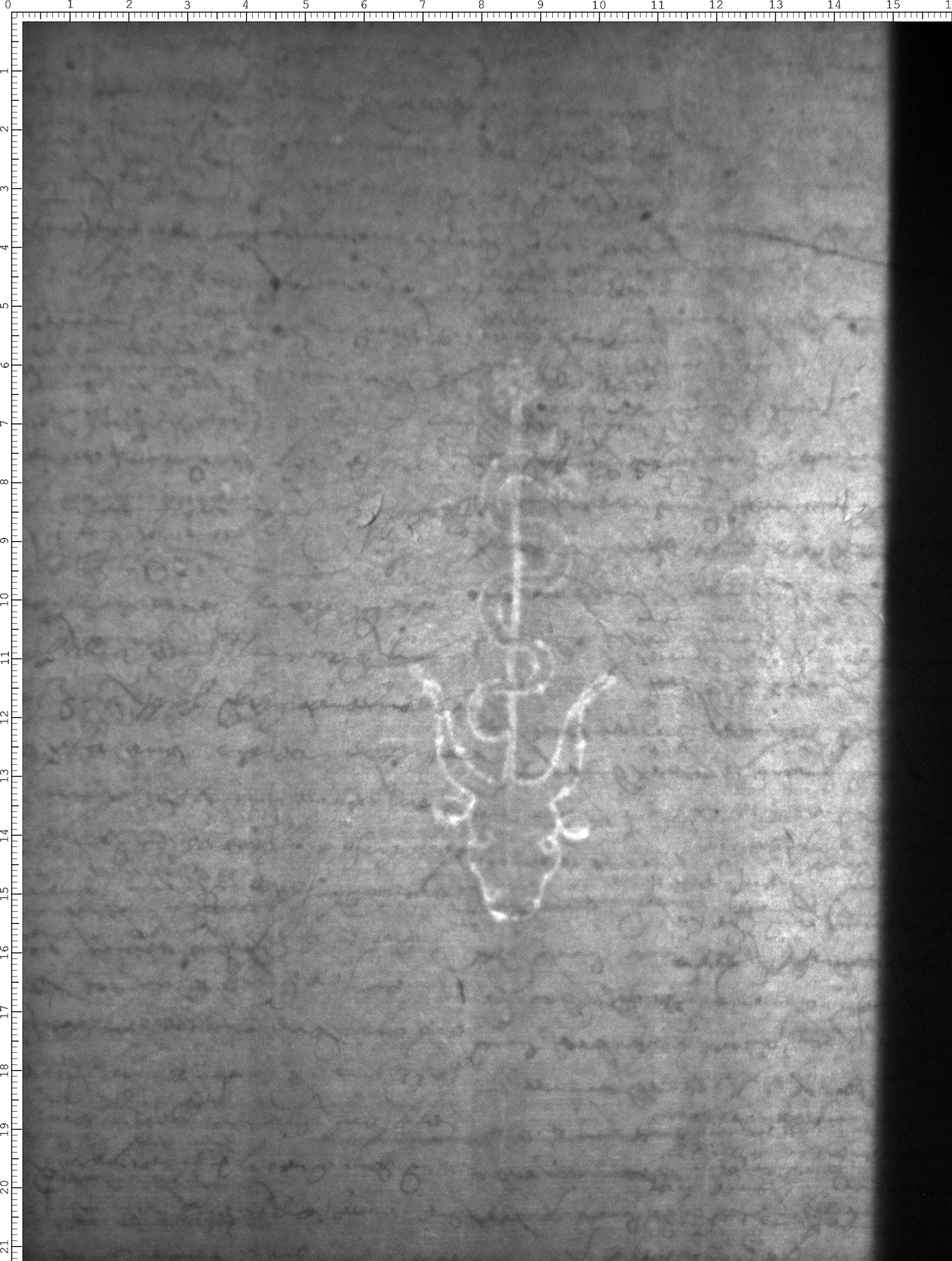 Watermark