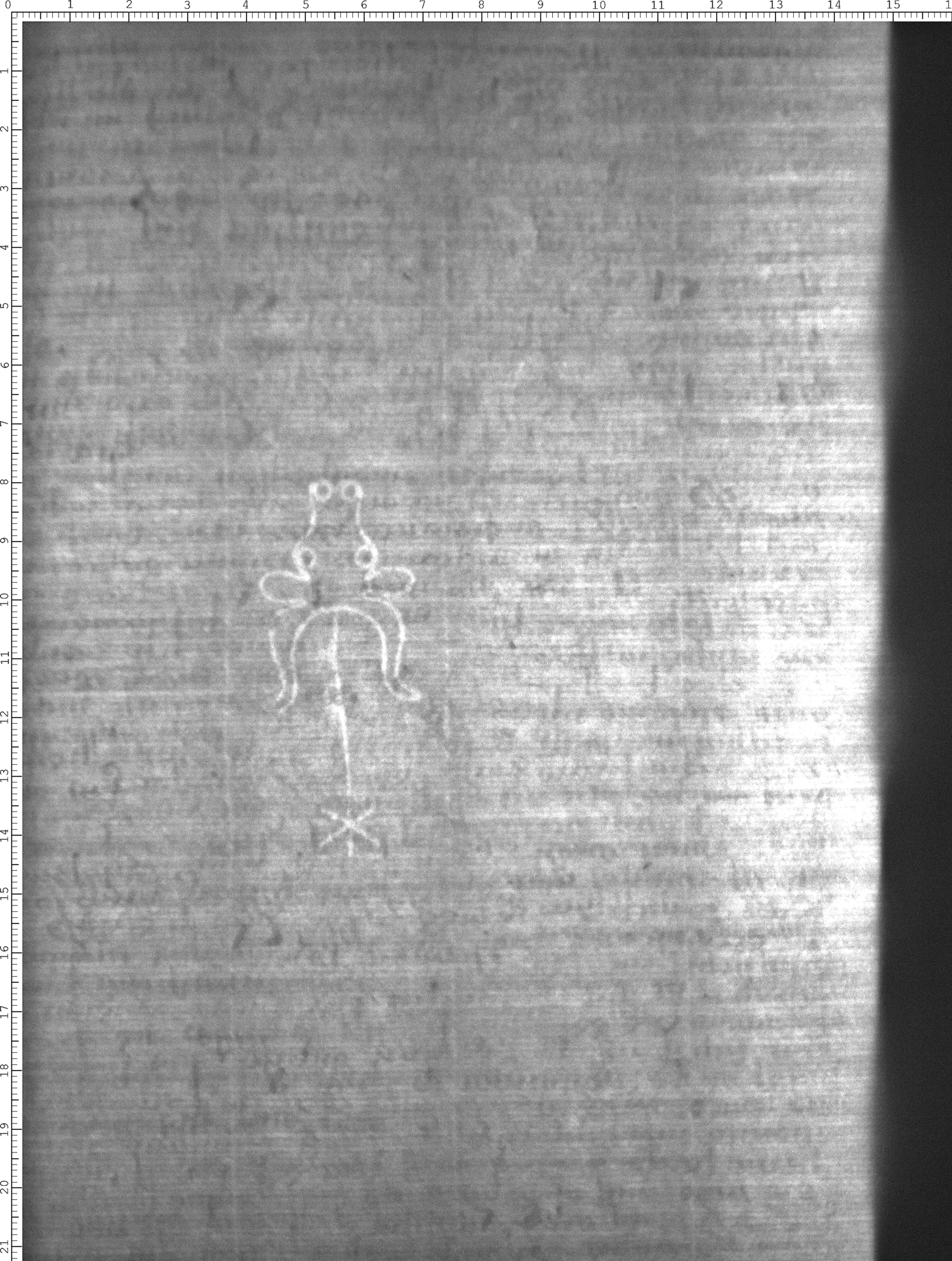 Watermark