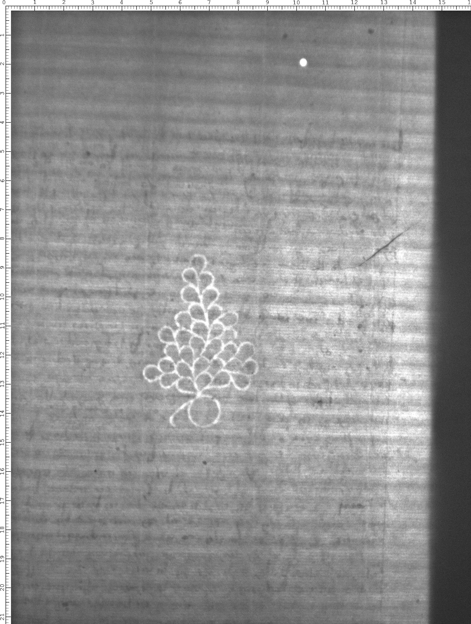 Watermark