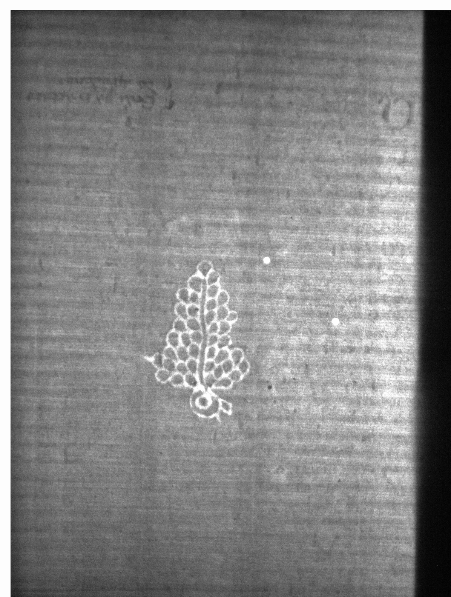 Watermark