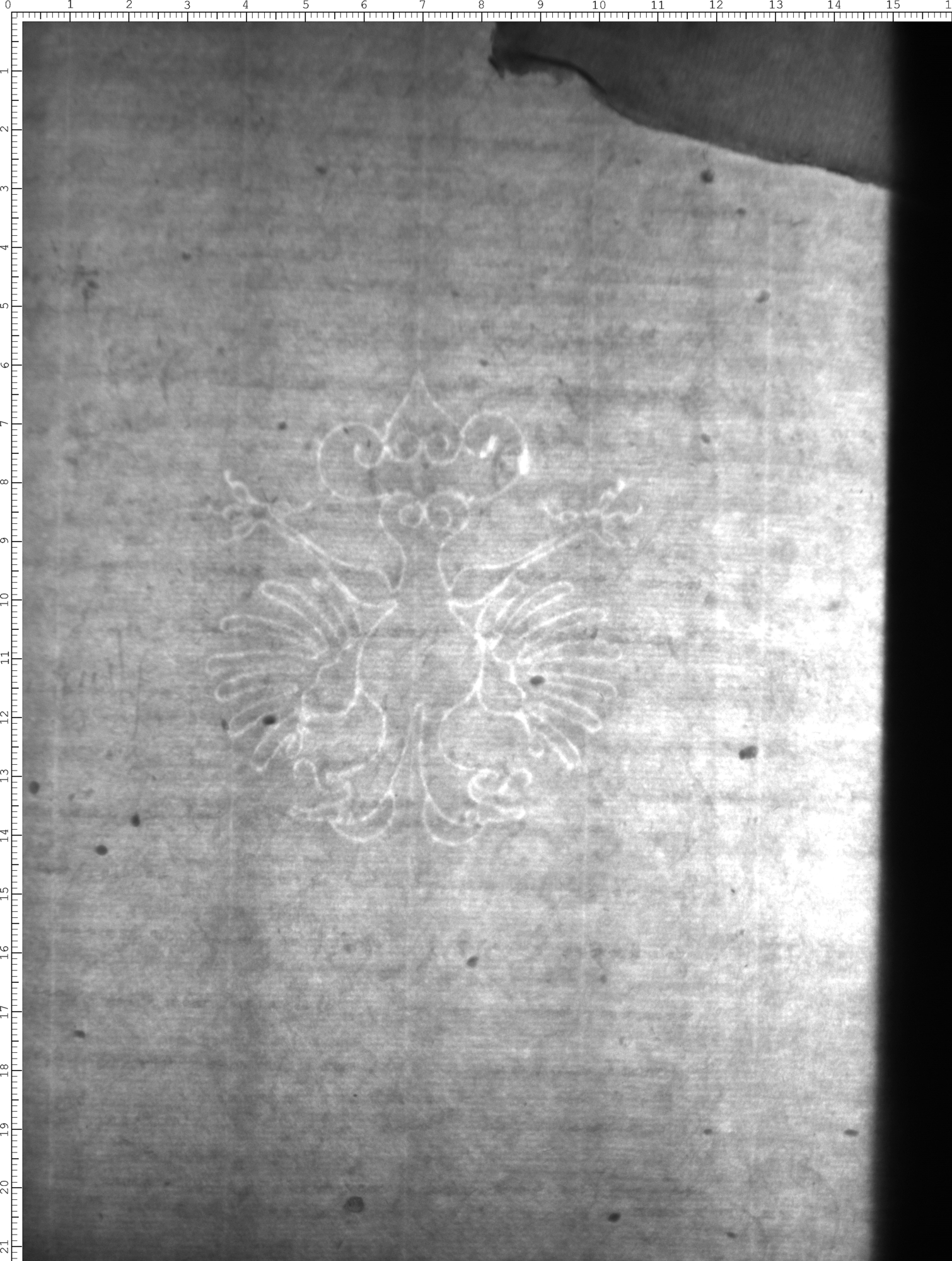 Watermark
