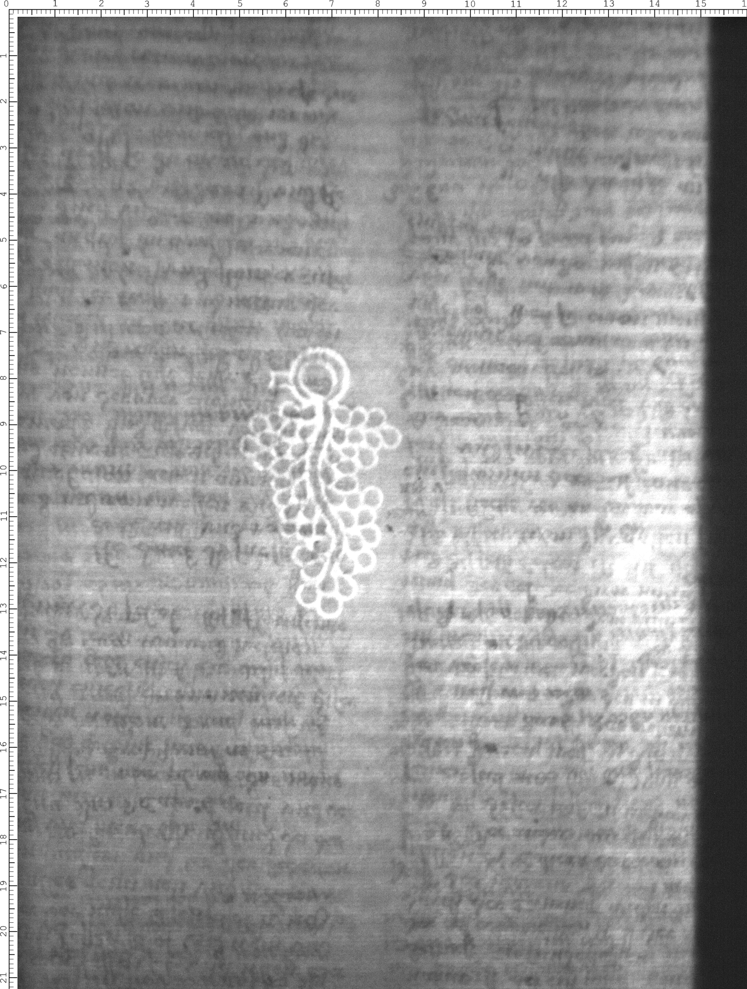 Watermark