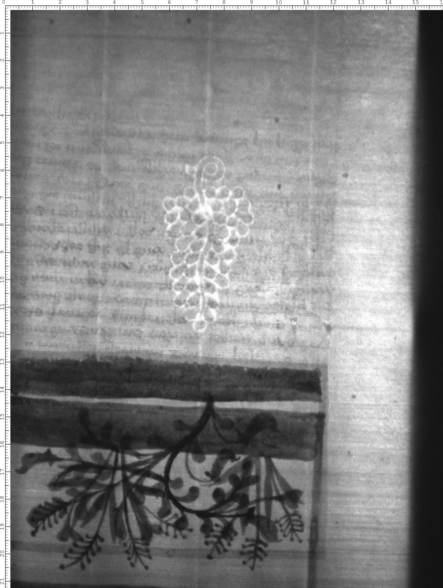 Watermark
