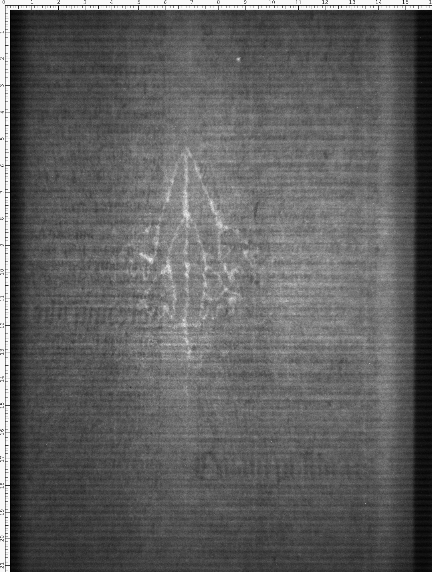 Watermark