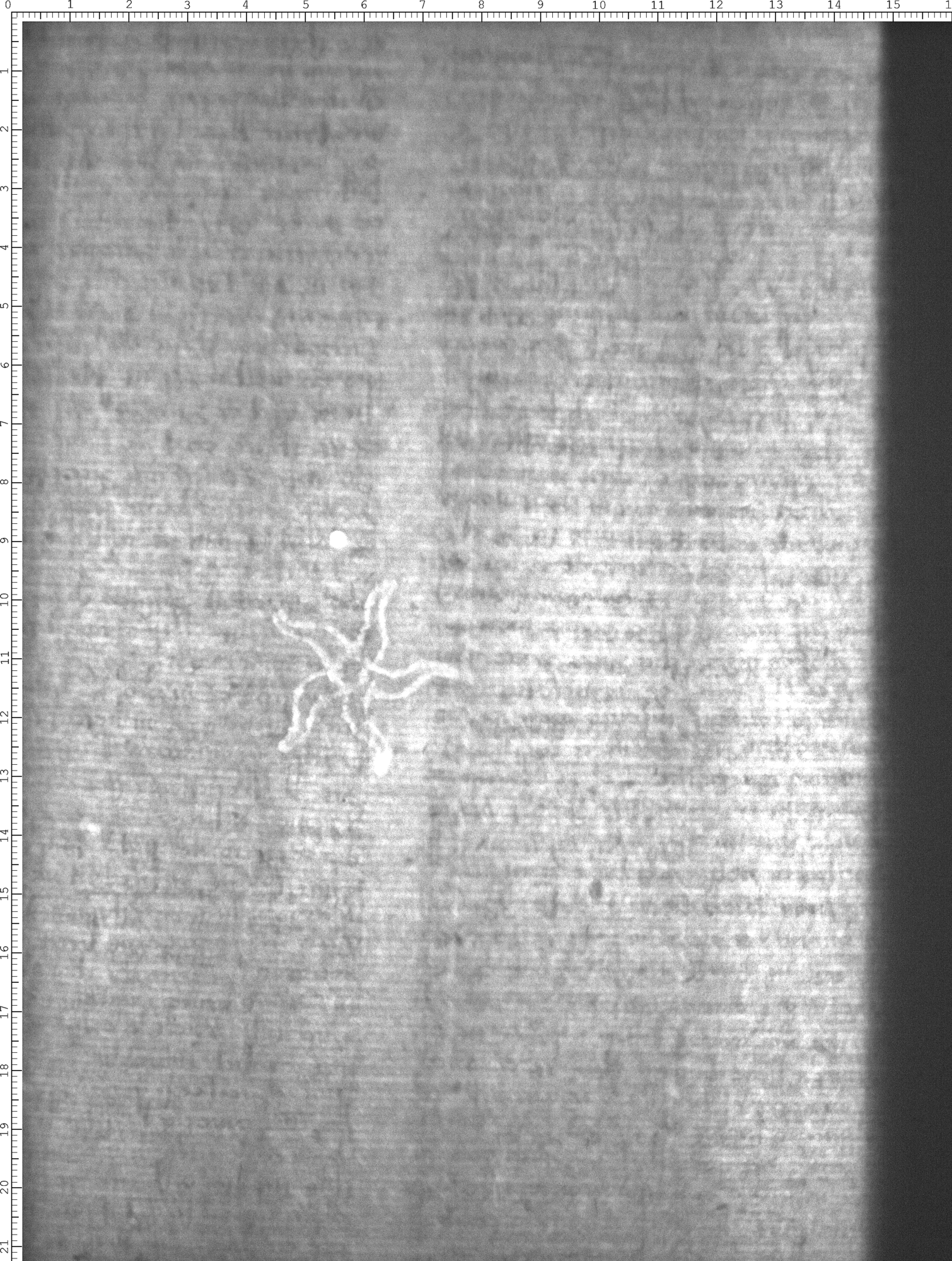 Watermark