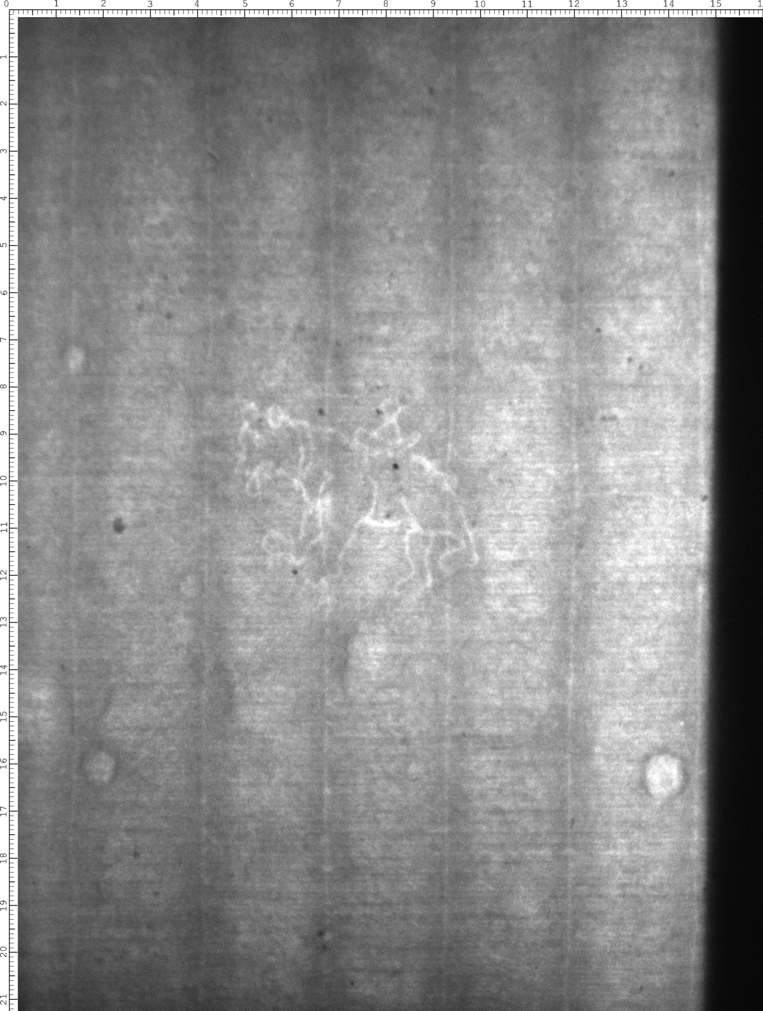 Watermark