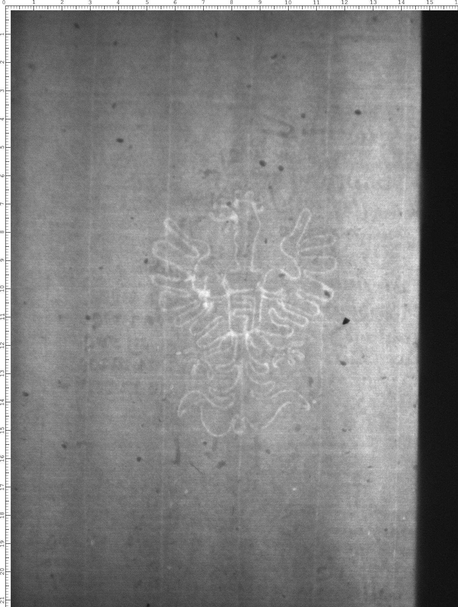 Watermark