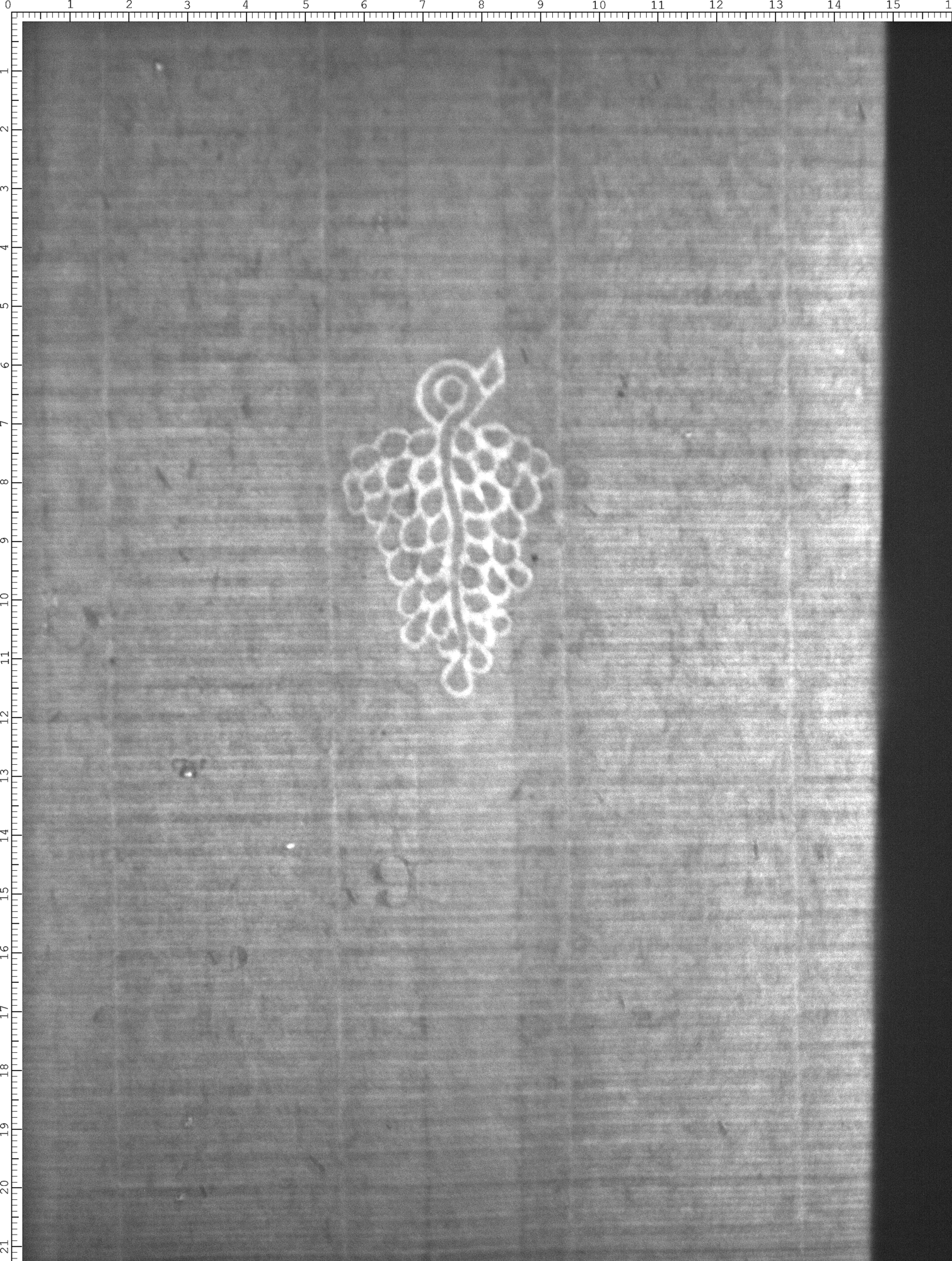 Watermark
