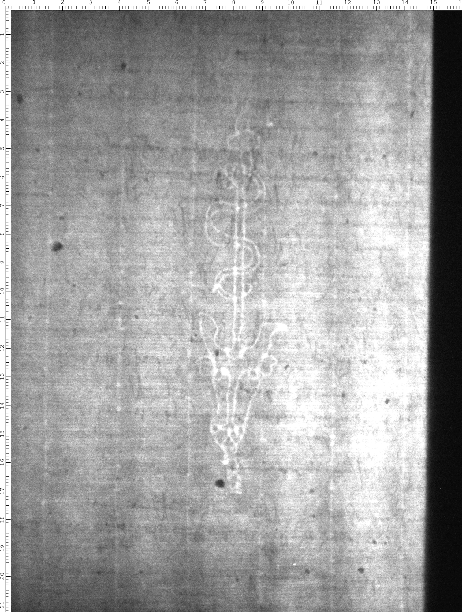 Watermark