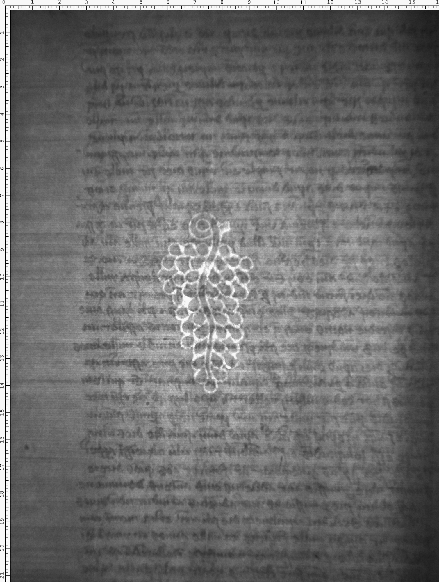 Watermark
