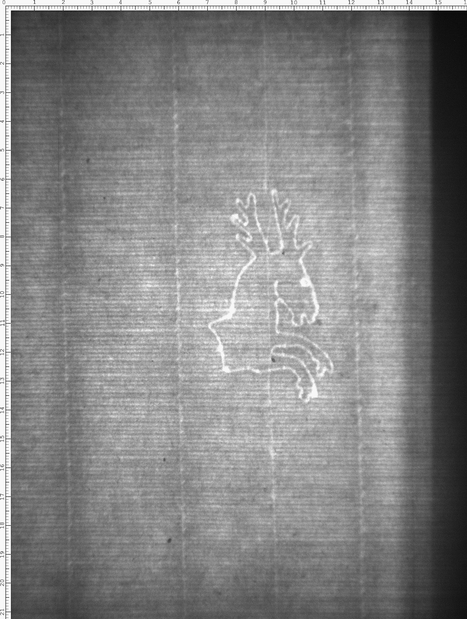 Watermark