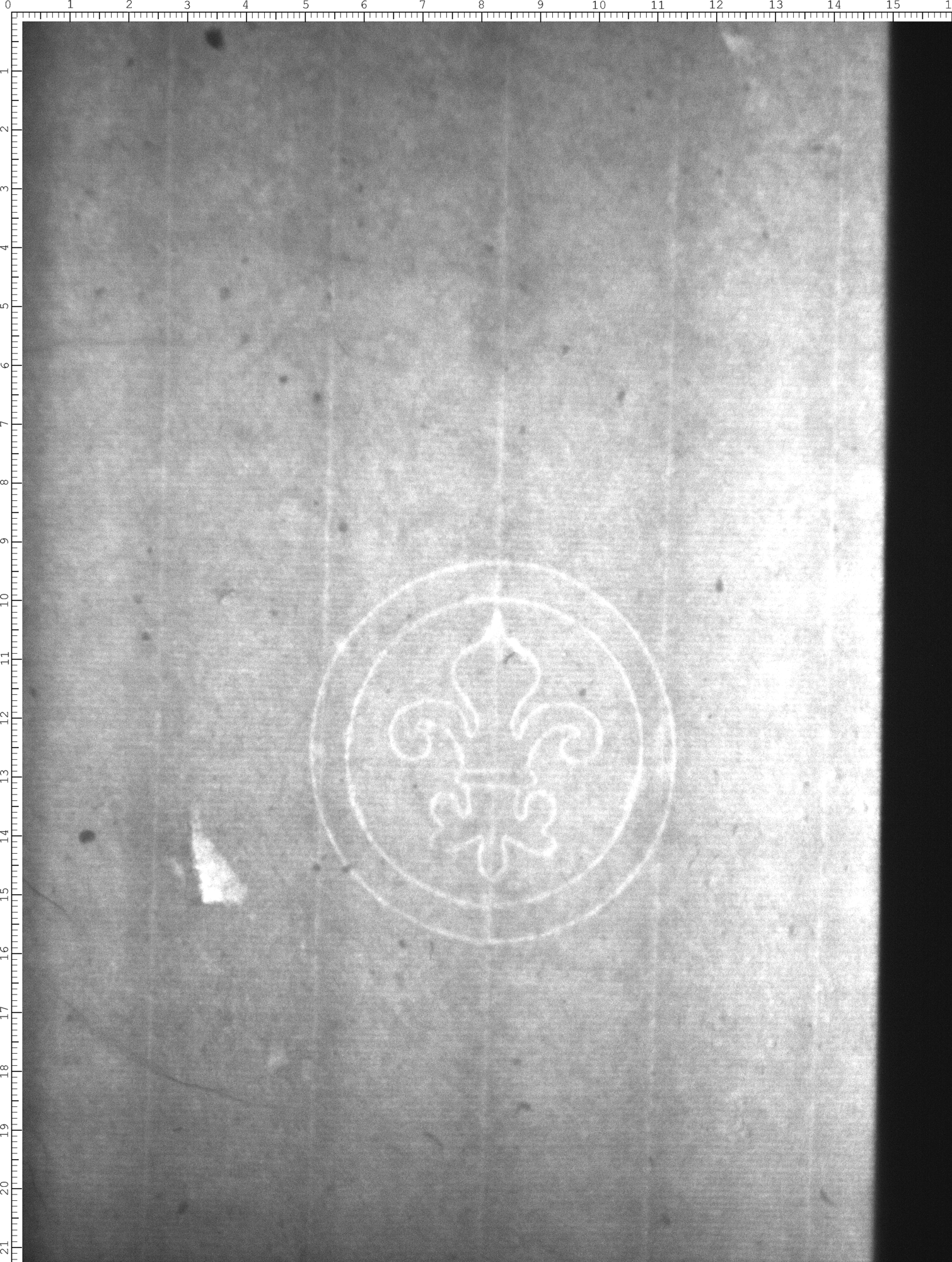 Watermark