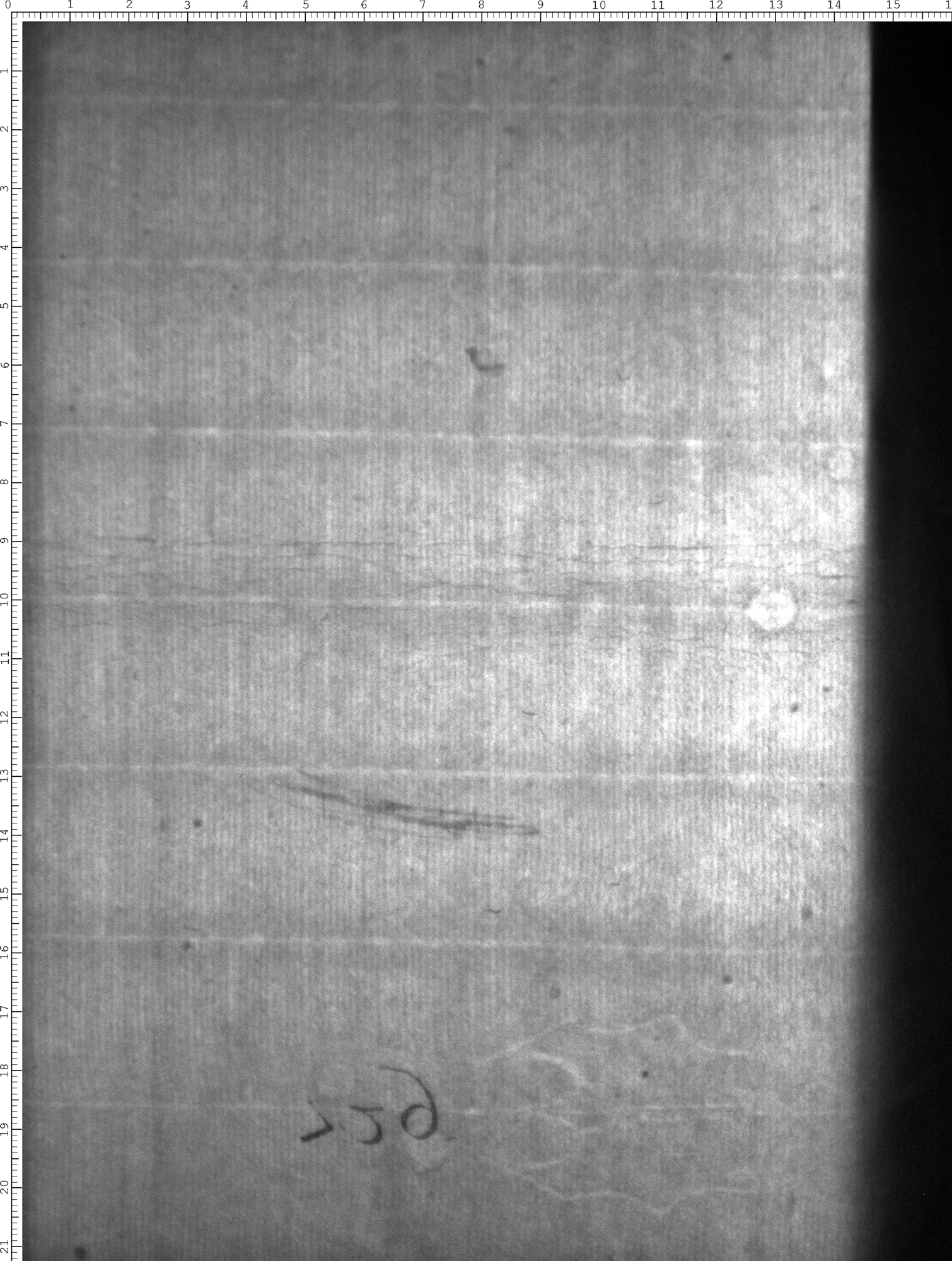 Watermark
