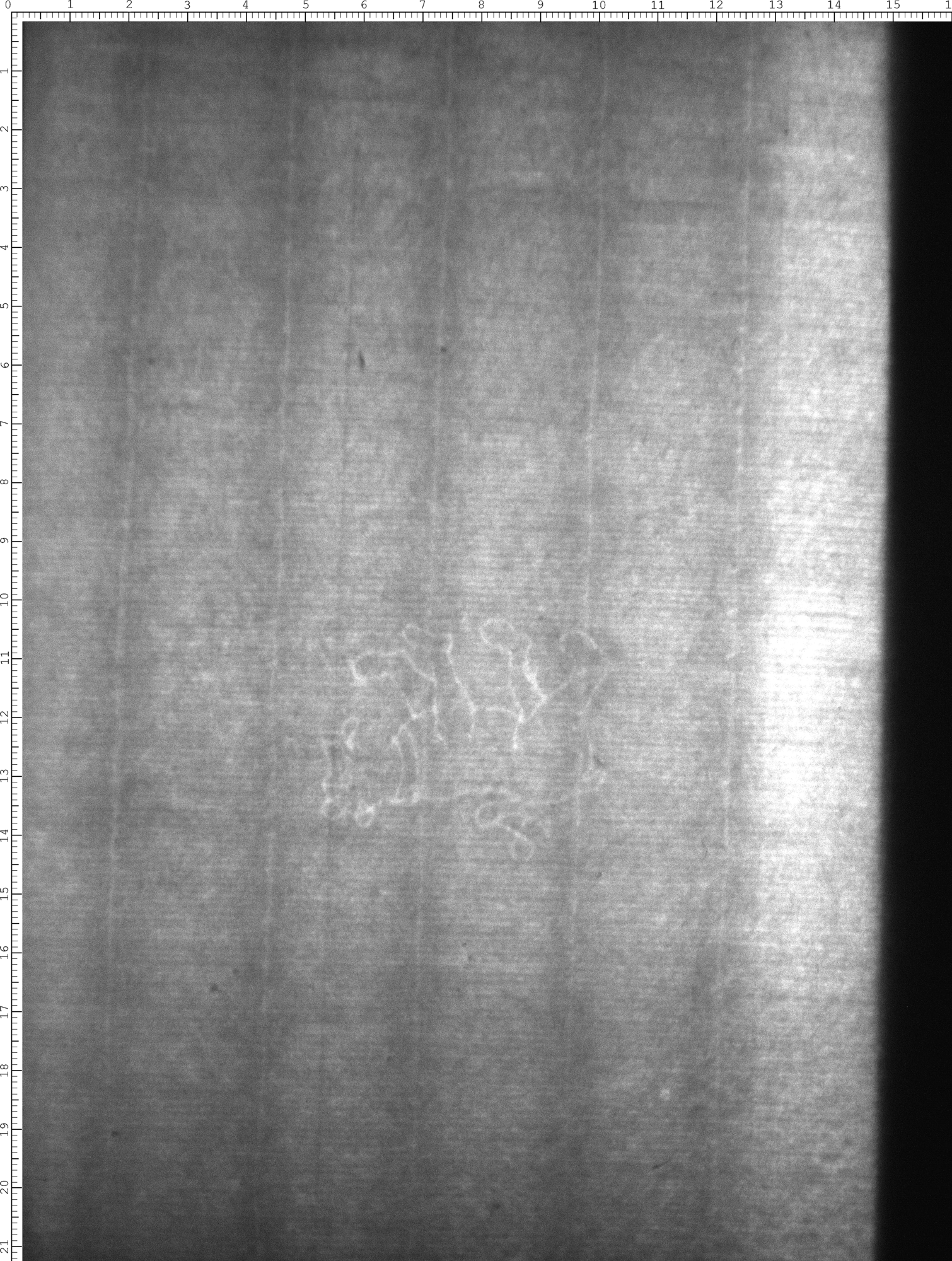 Watermark