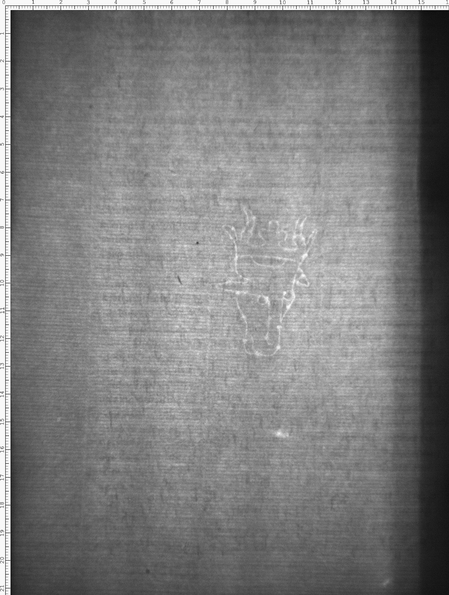 Watermark