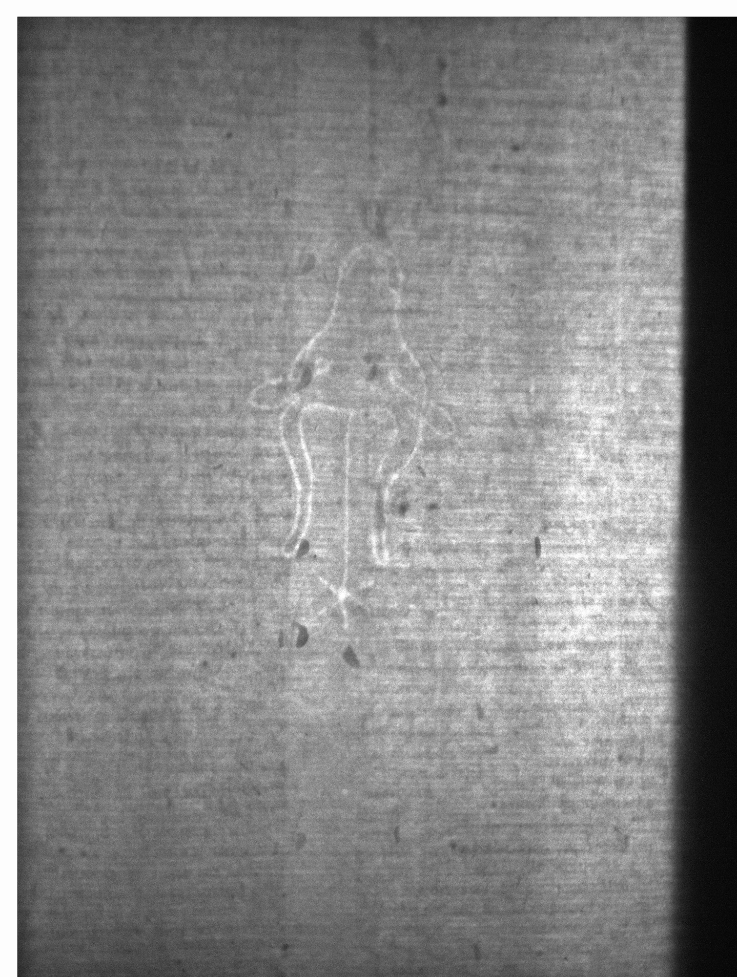 Watermark
