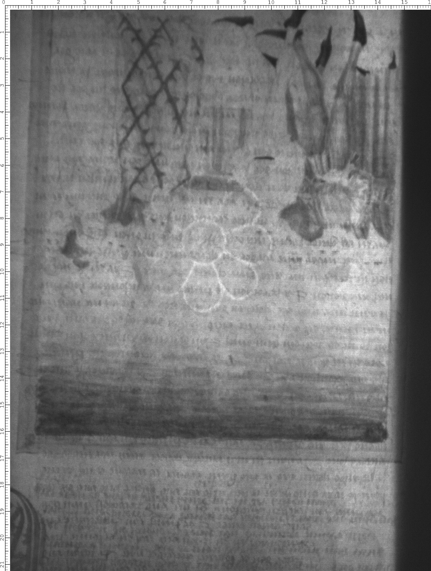 Watermark