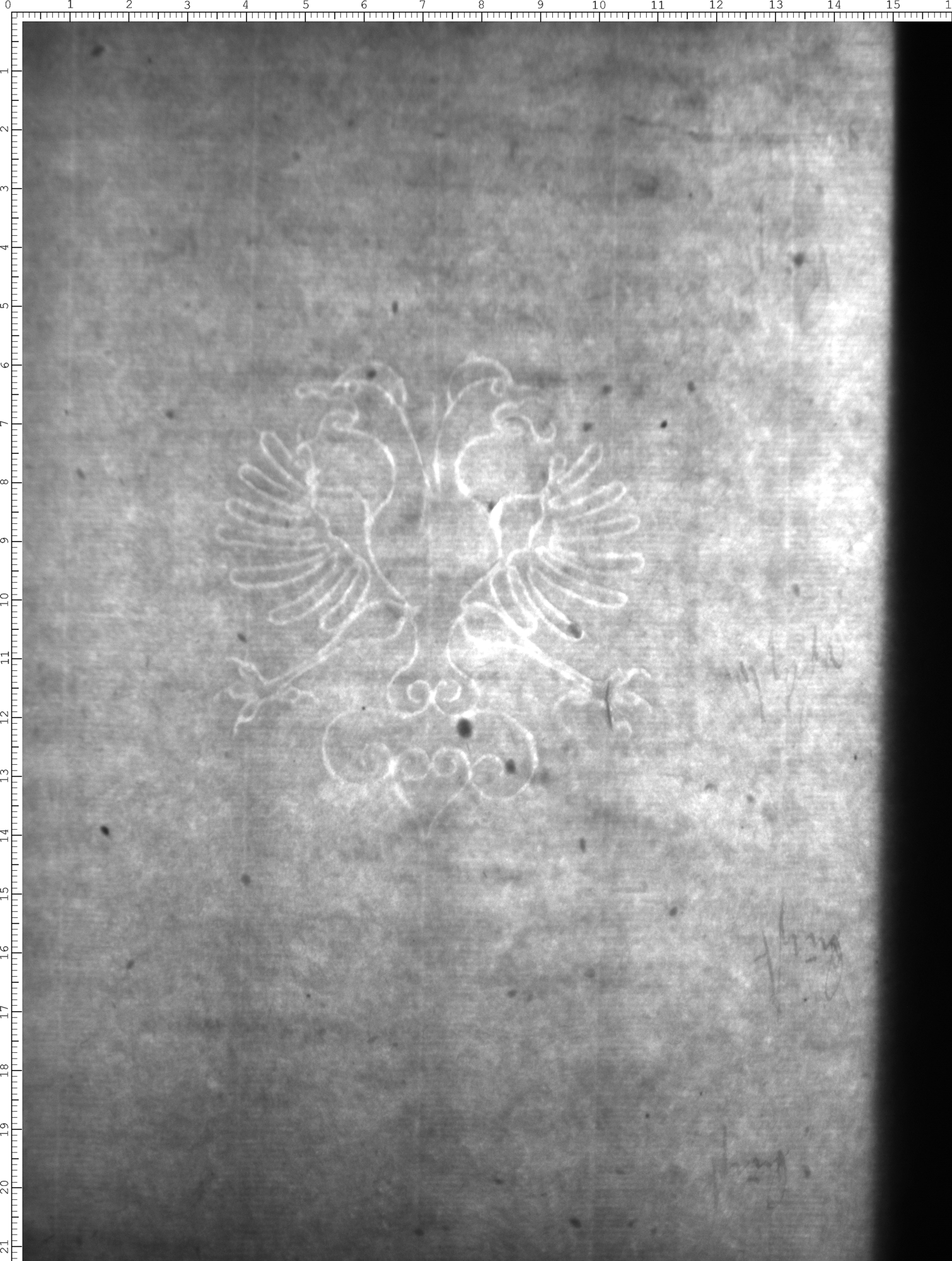 Watermark