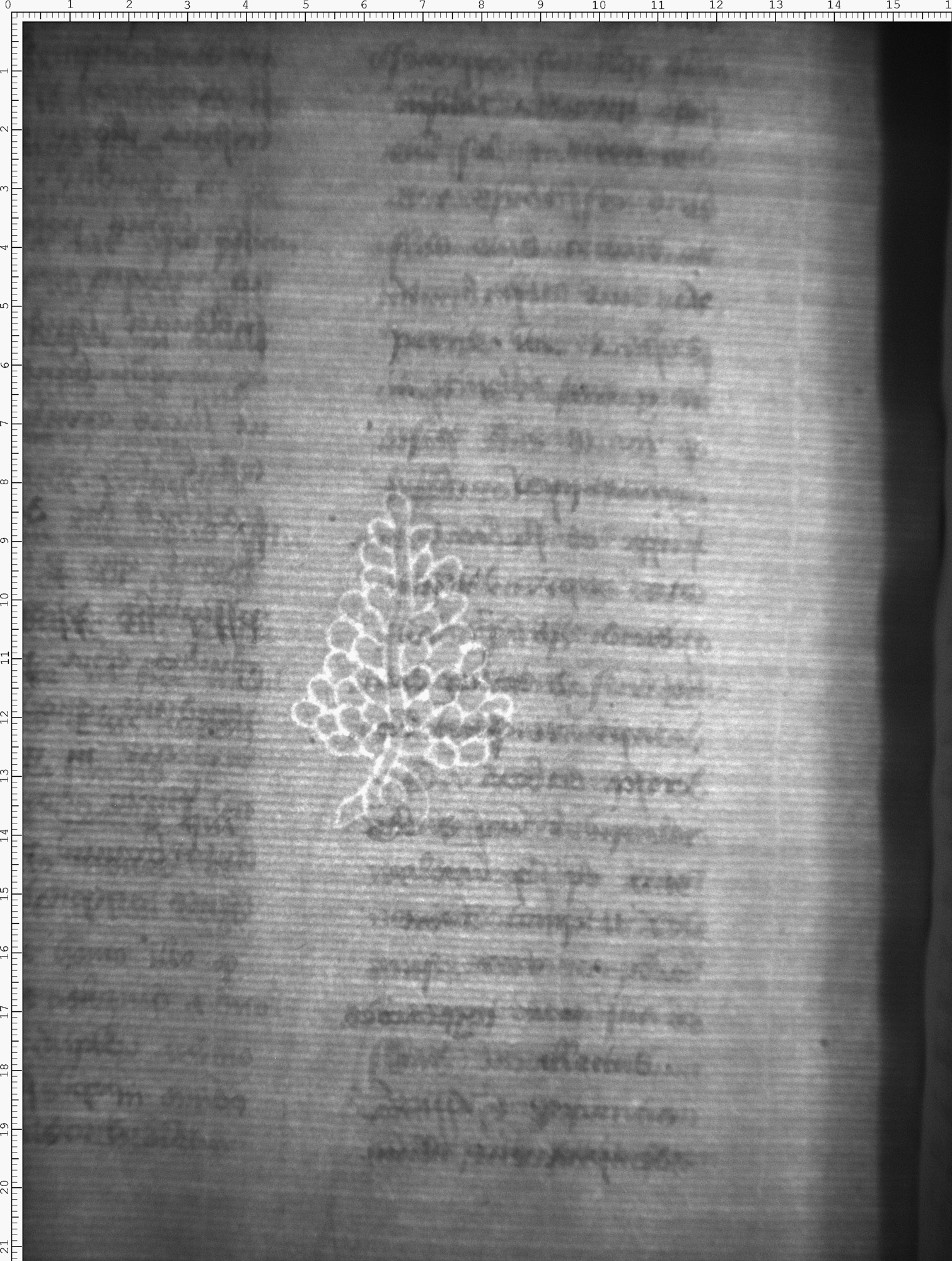 Watermark