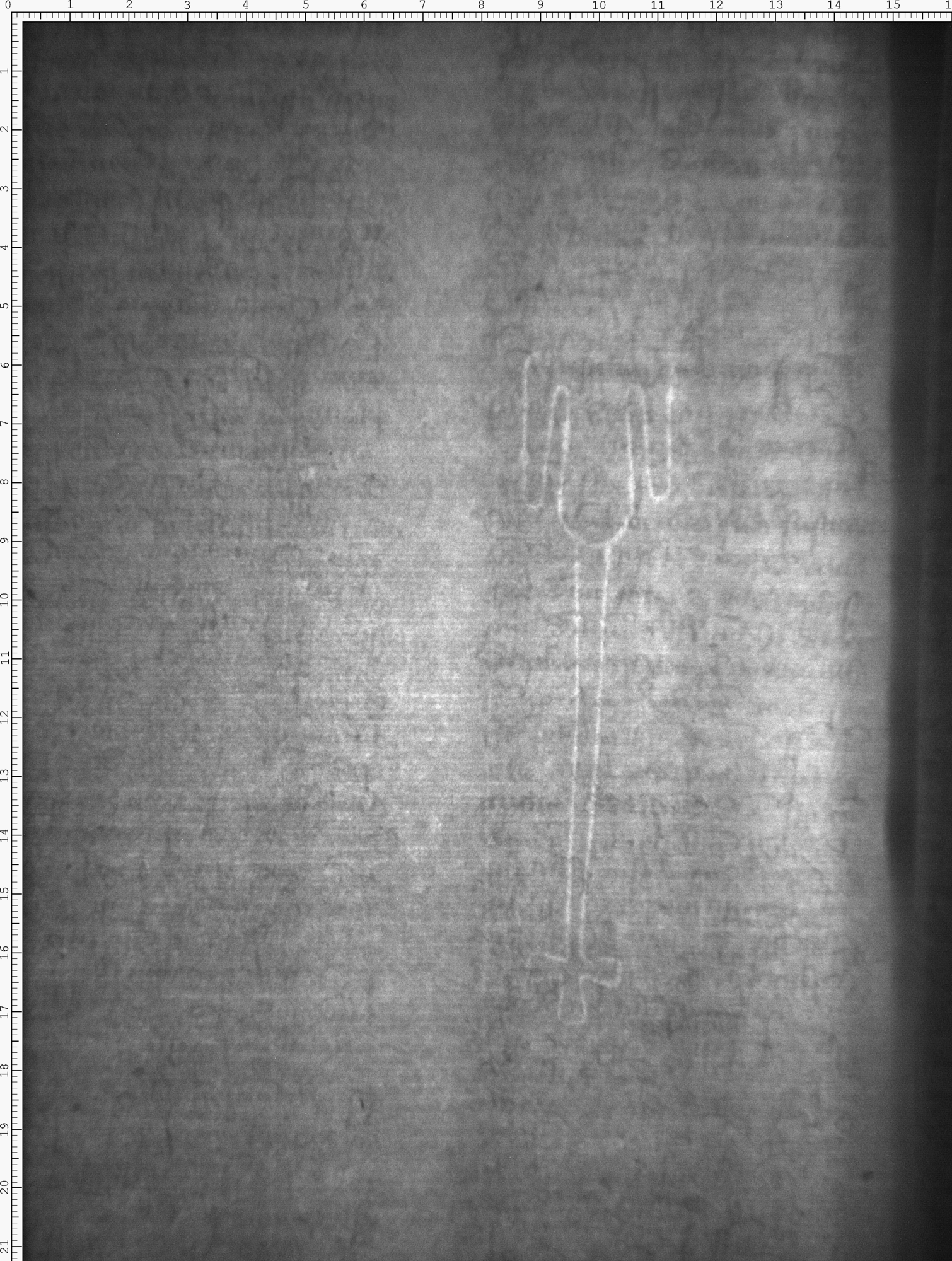 Watermark