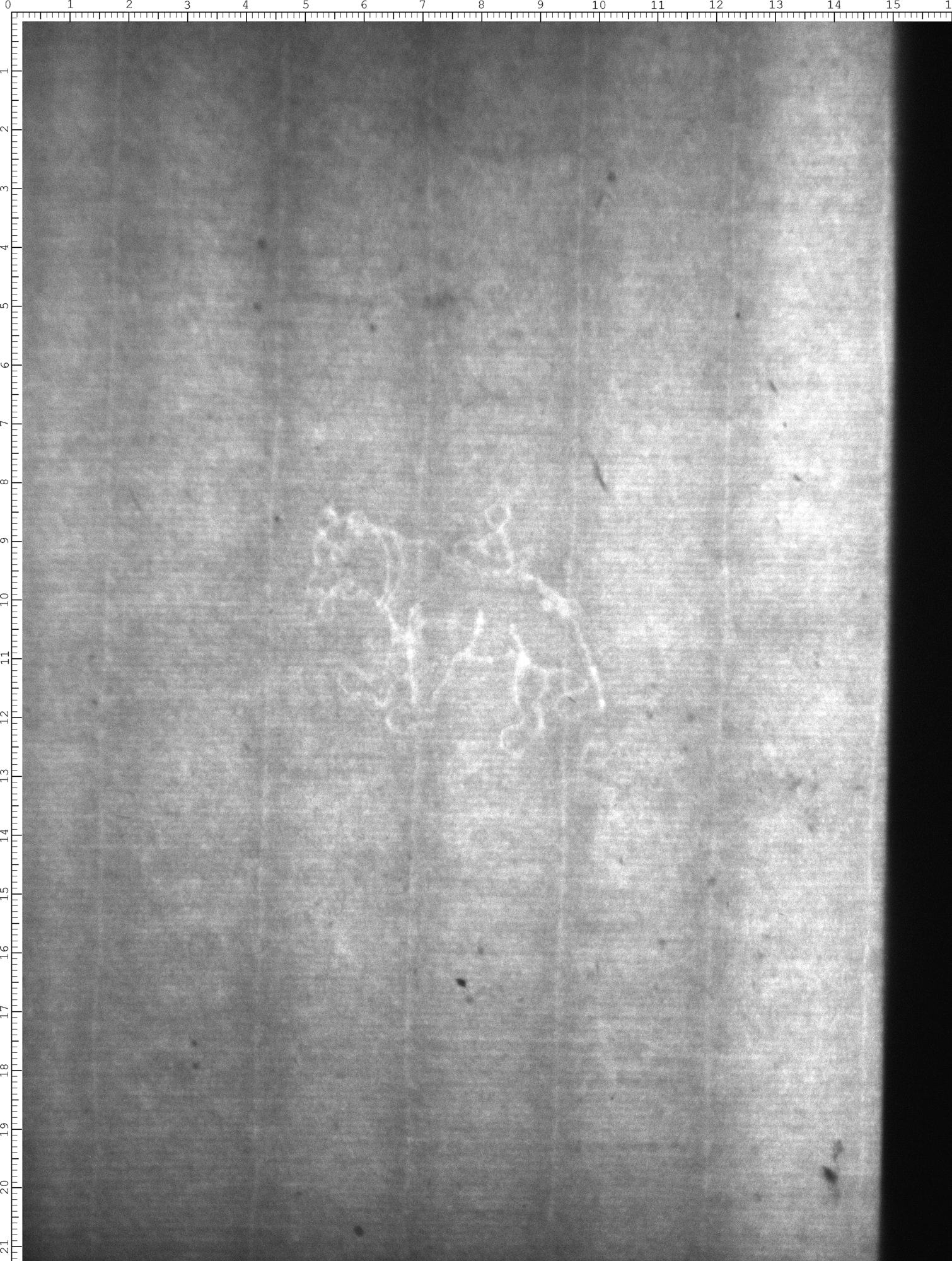 Watermark