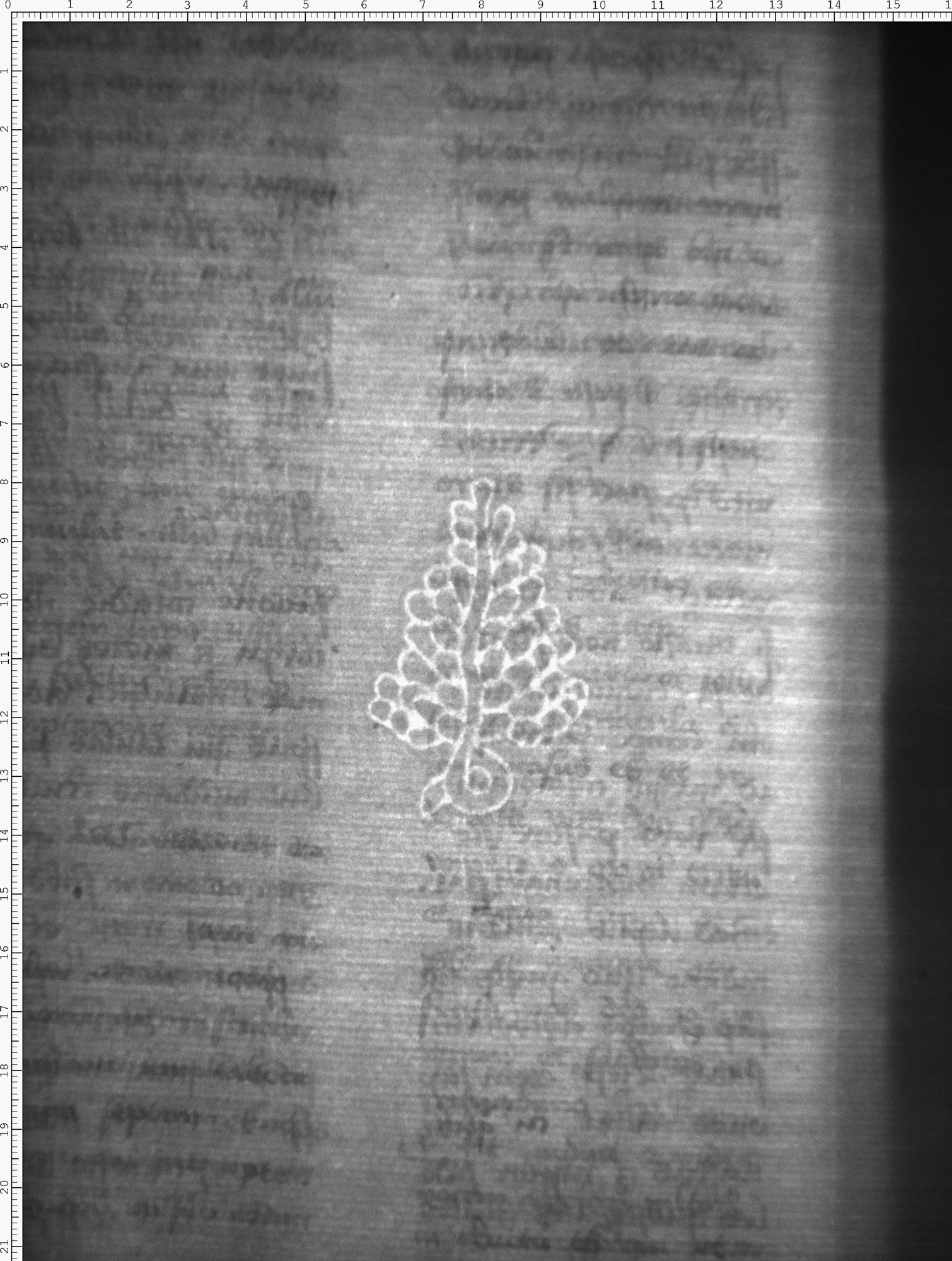 Watermark
