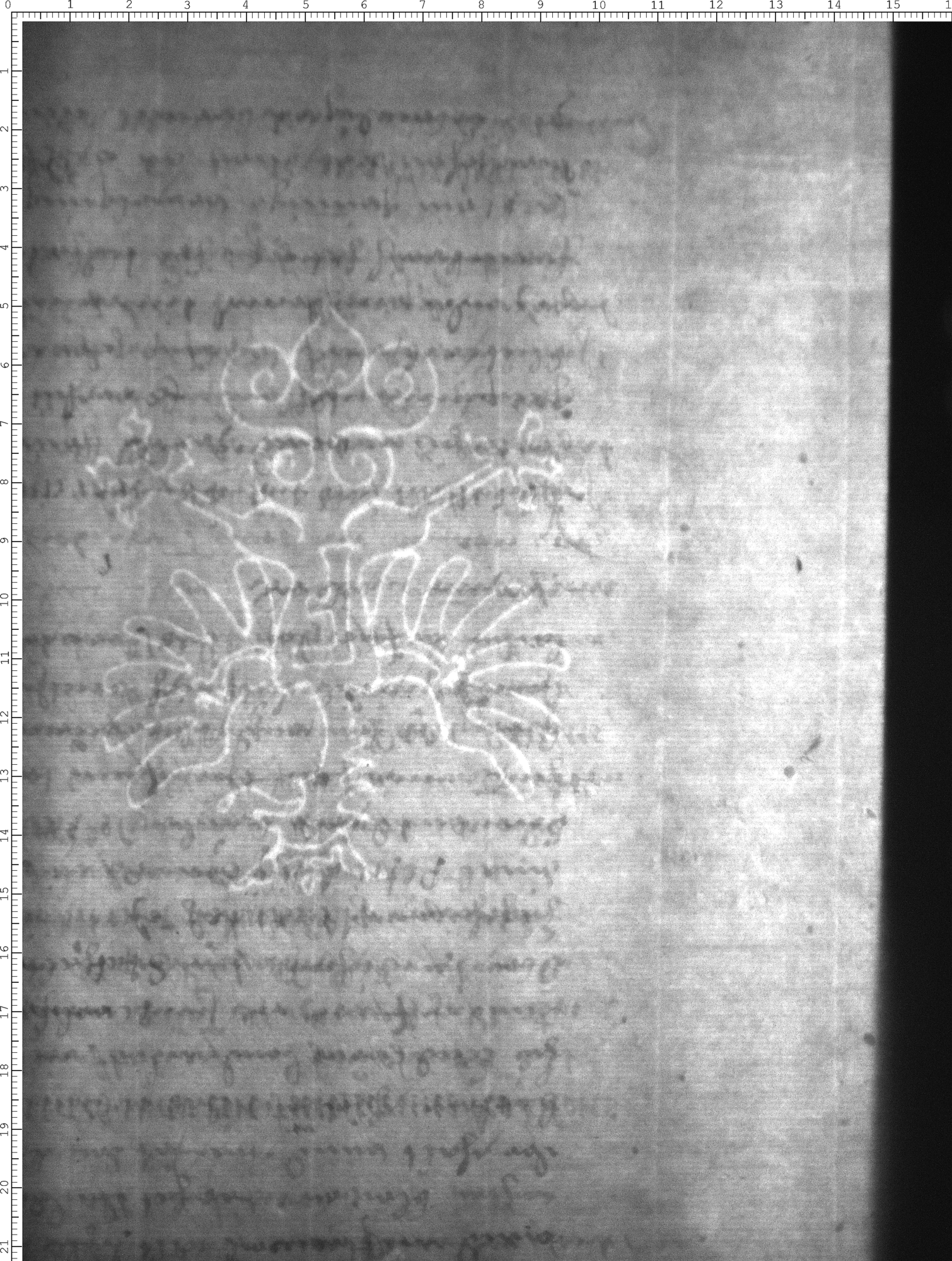 Watermark