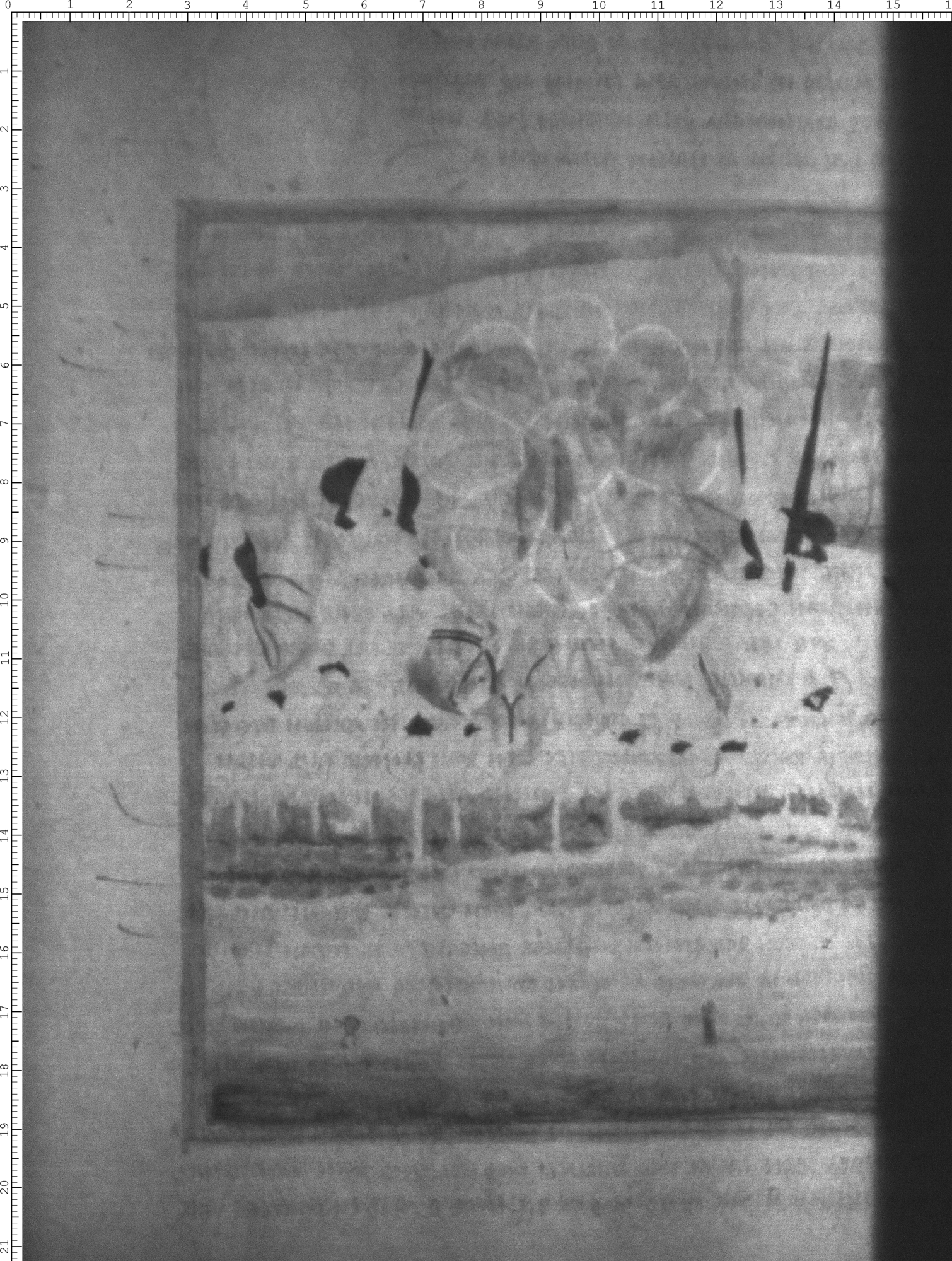 Watermark