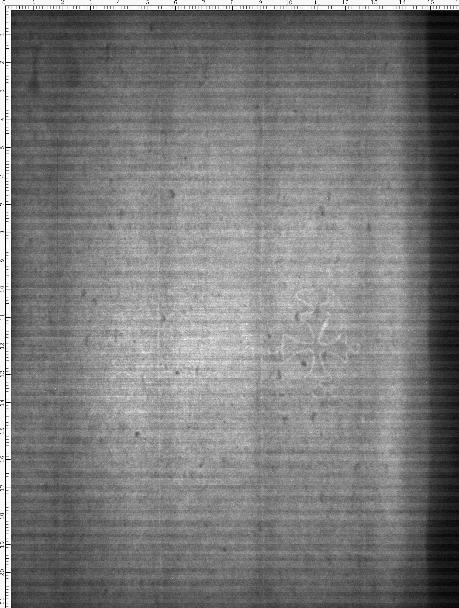 Watermark