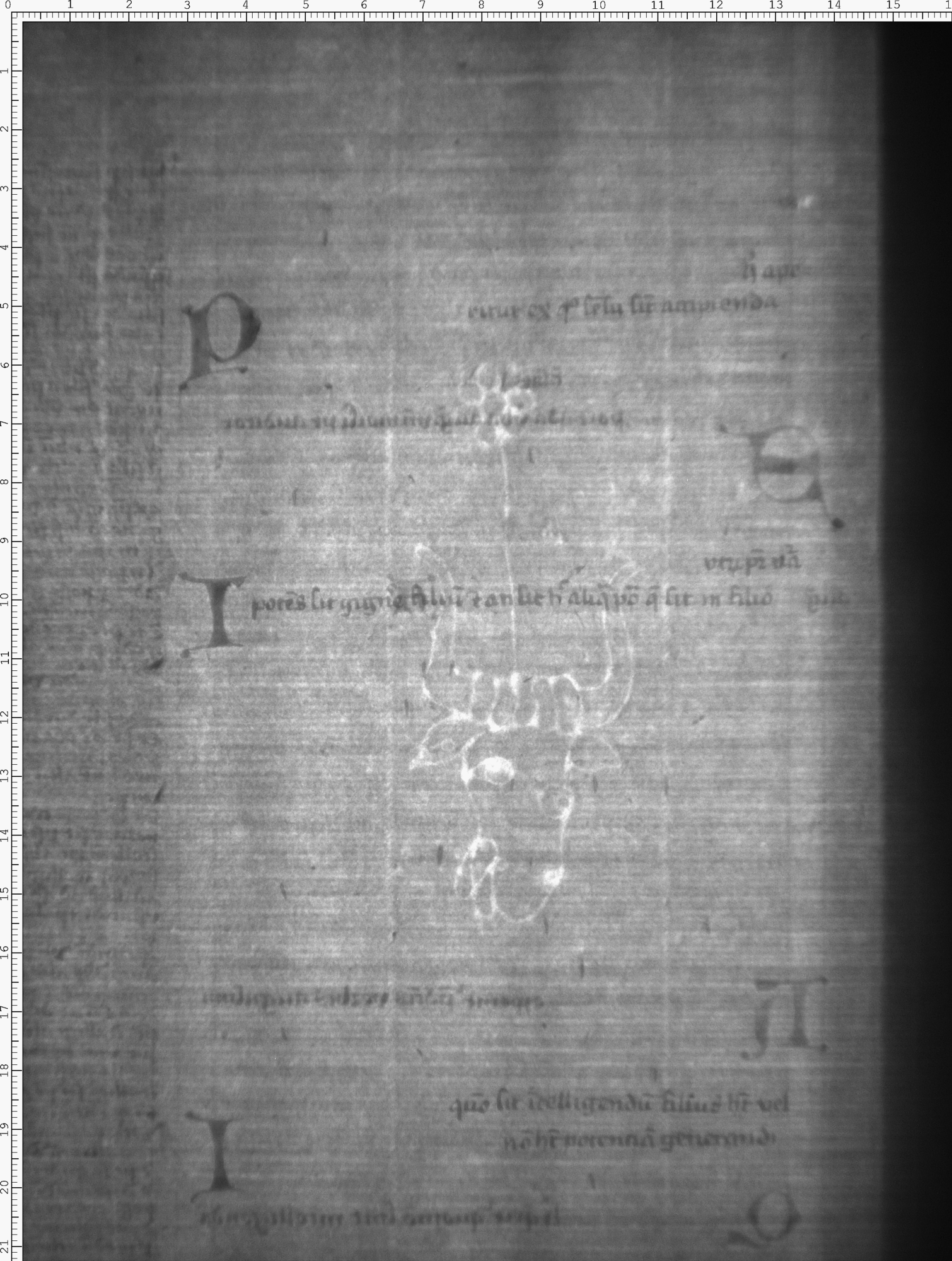 Watermark