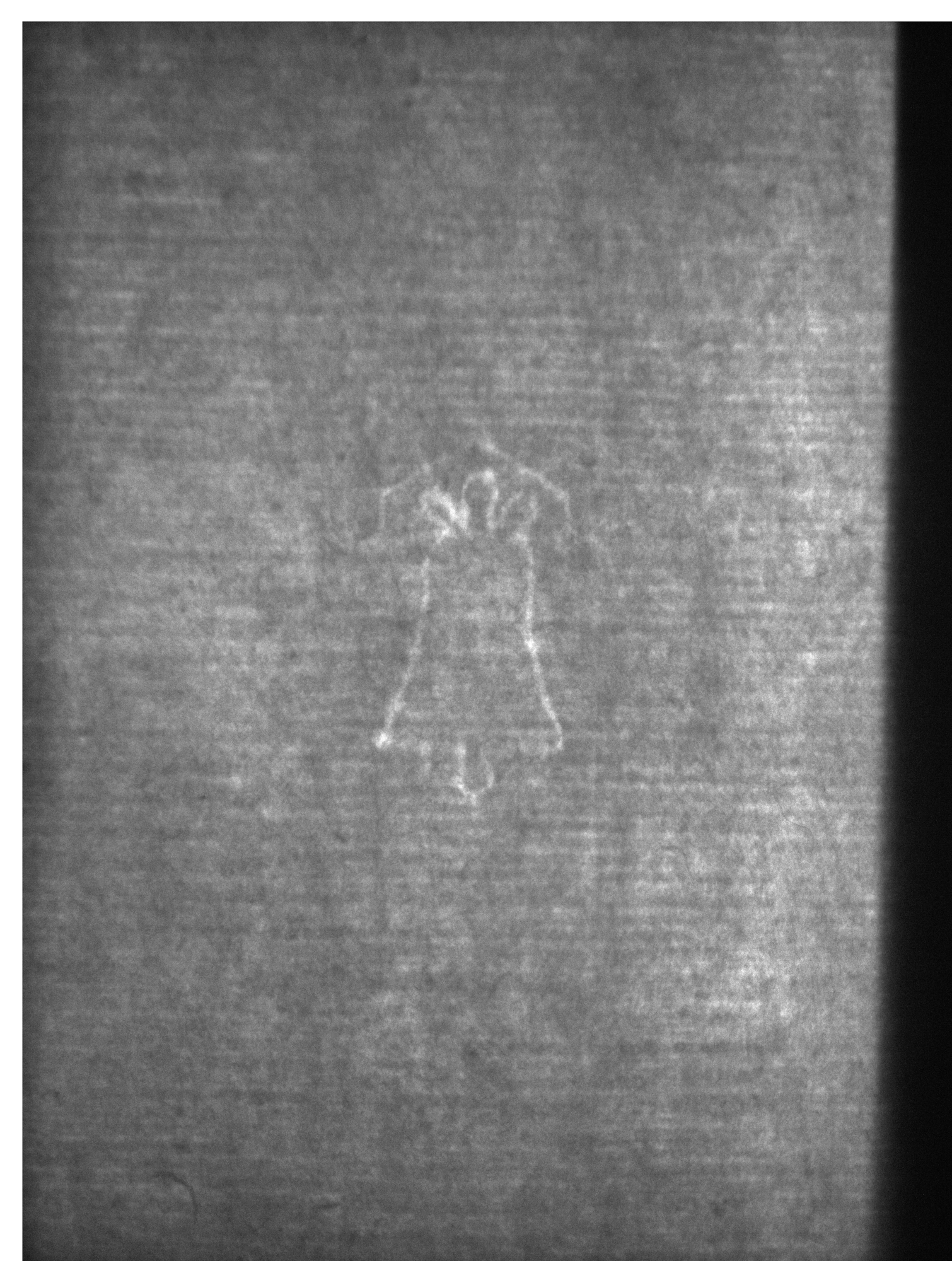 Watermark