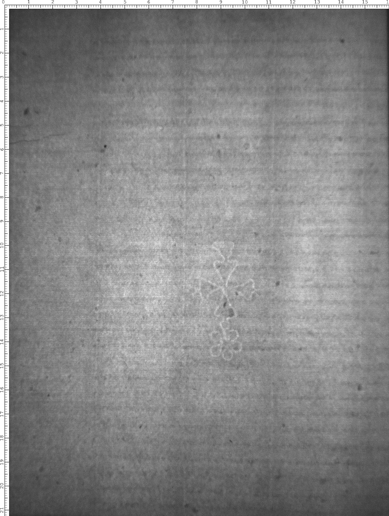 Watermark