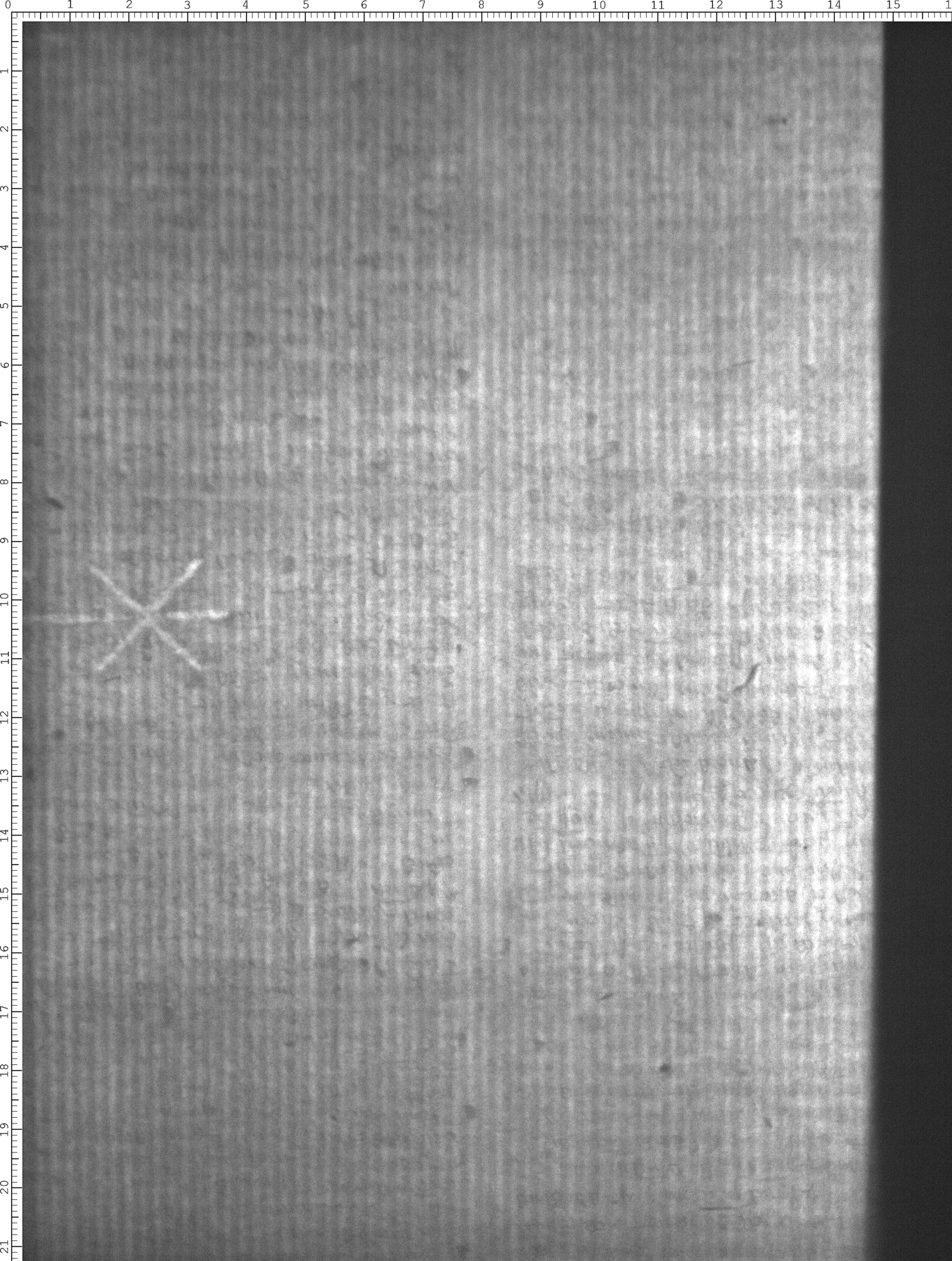 Watermark