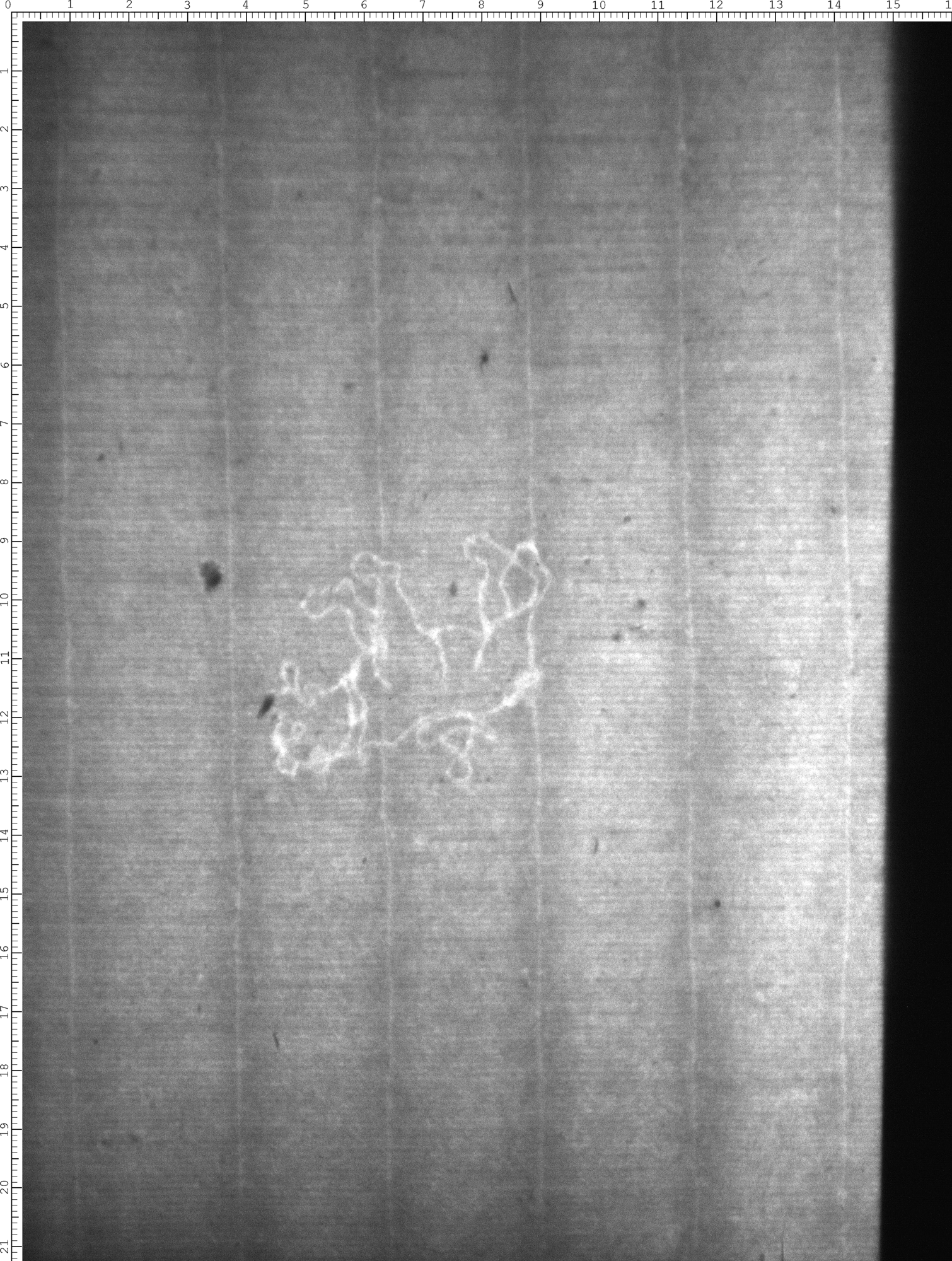 Watermark