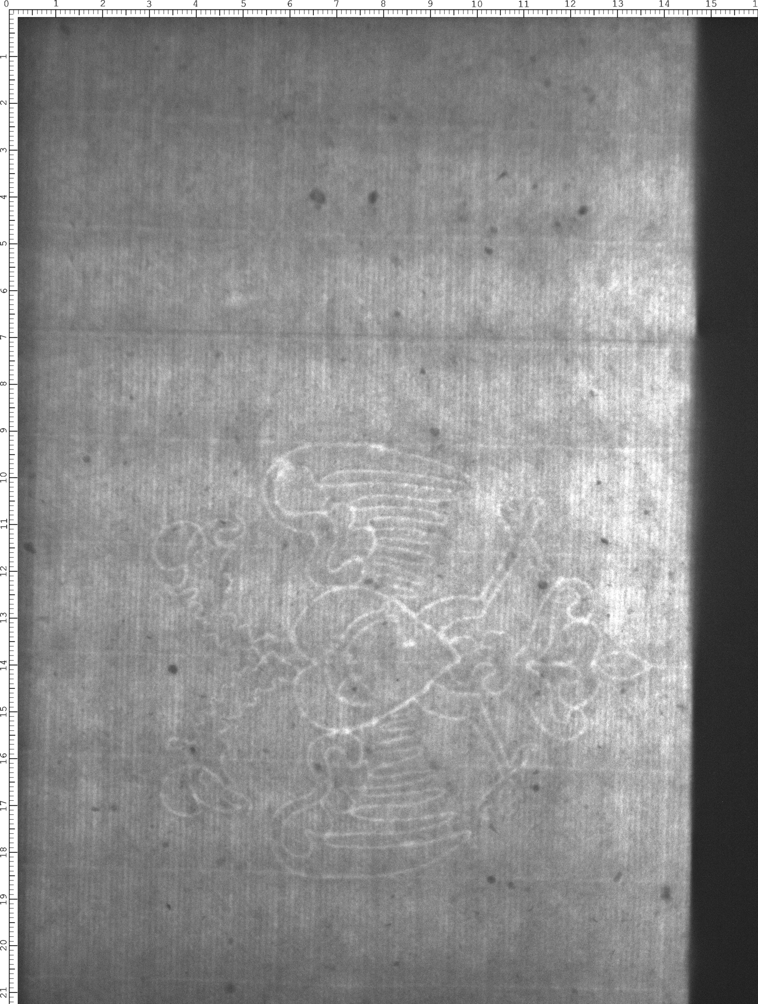 Watermark