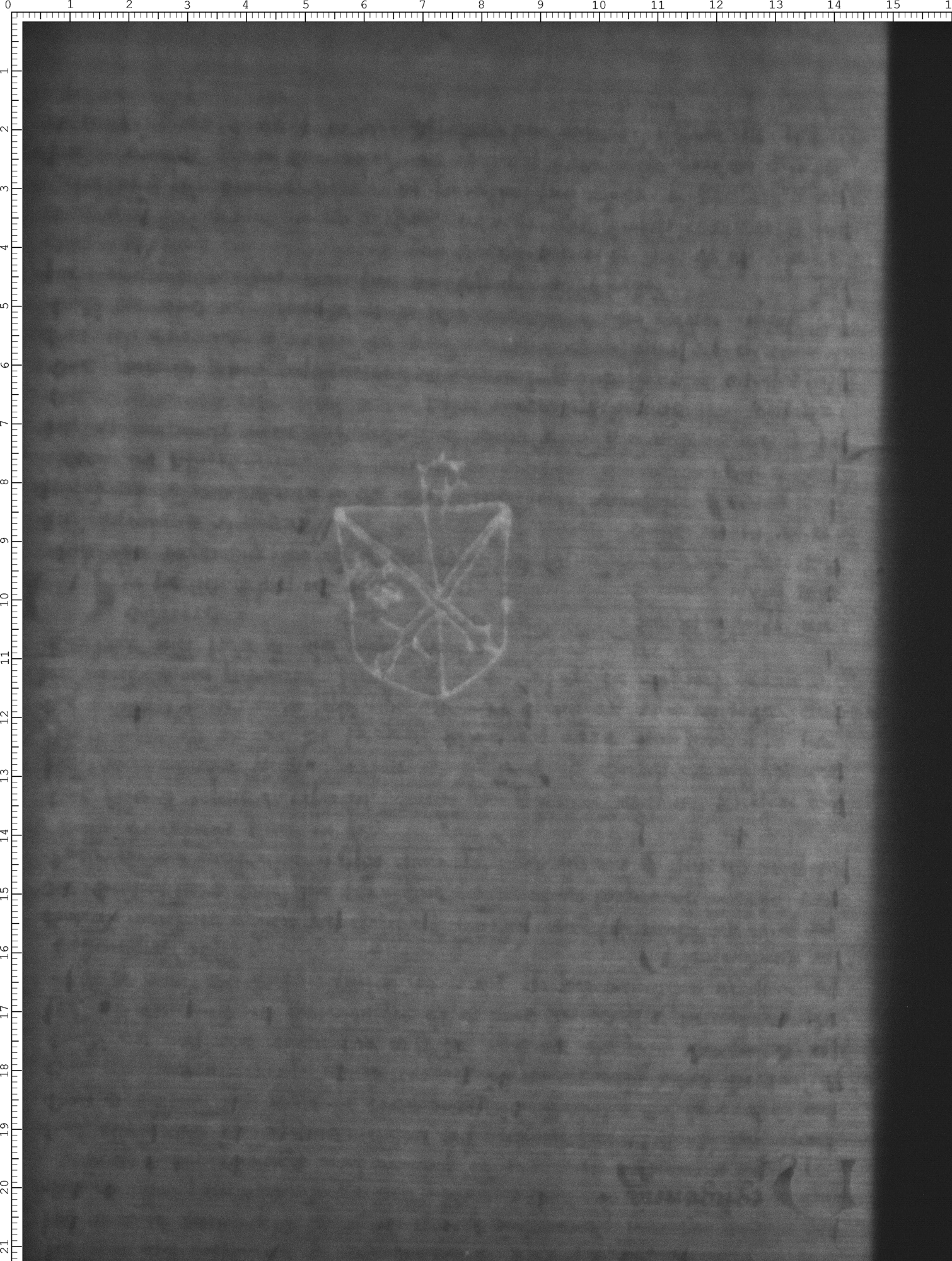 Watermark