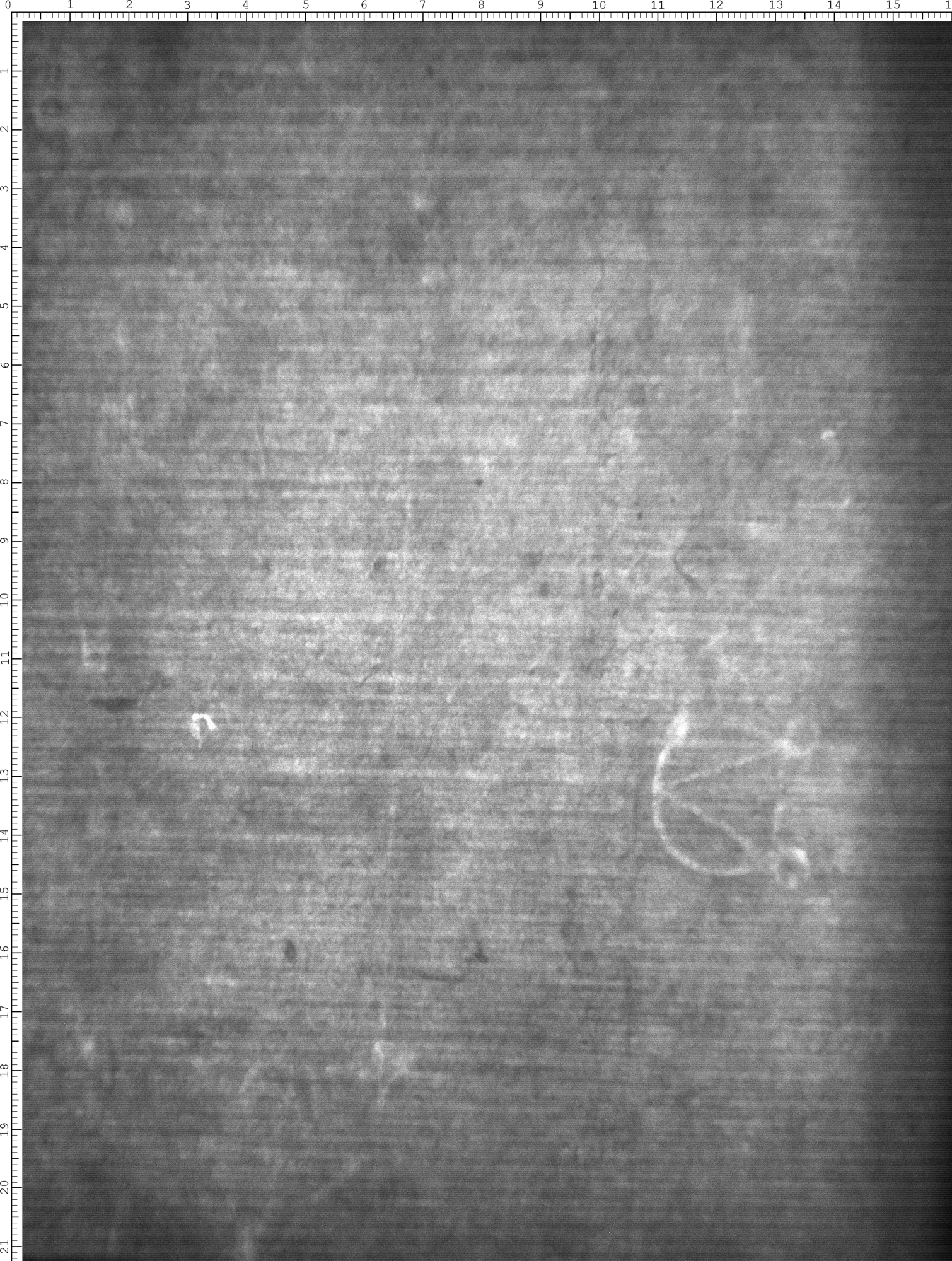 Watermark