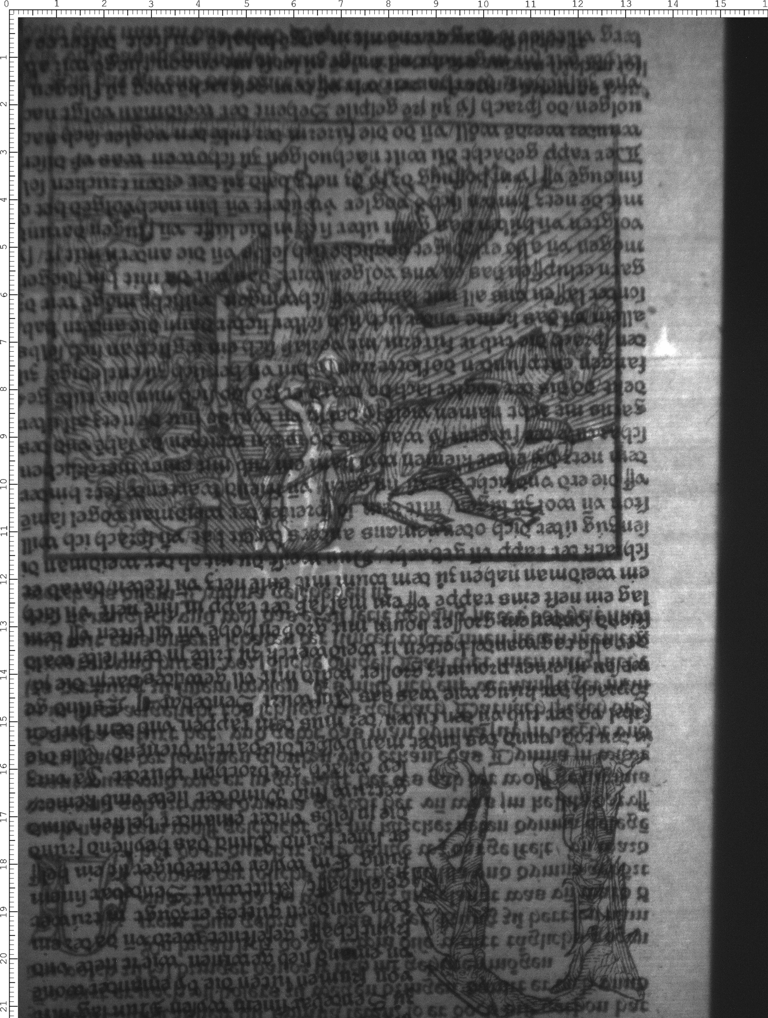 Watermark