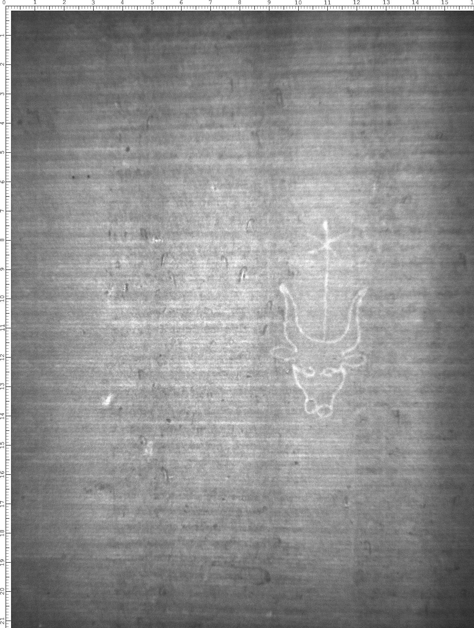 Watermark