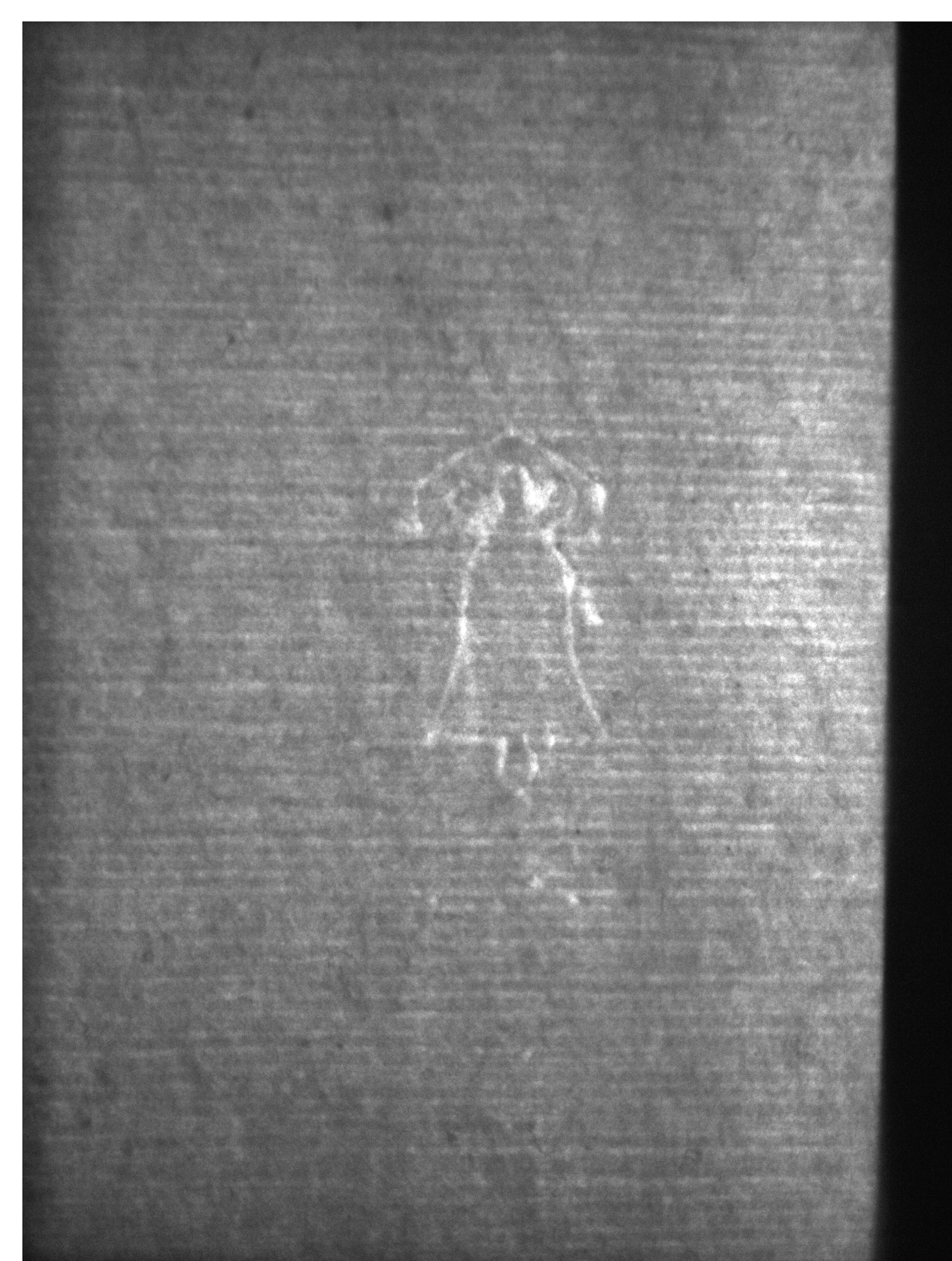 Watermark