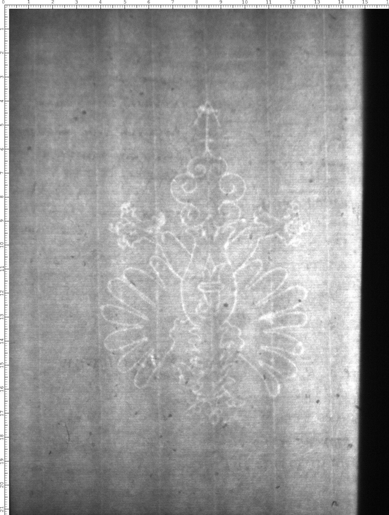 Watermark