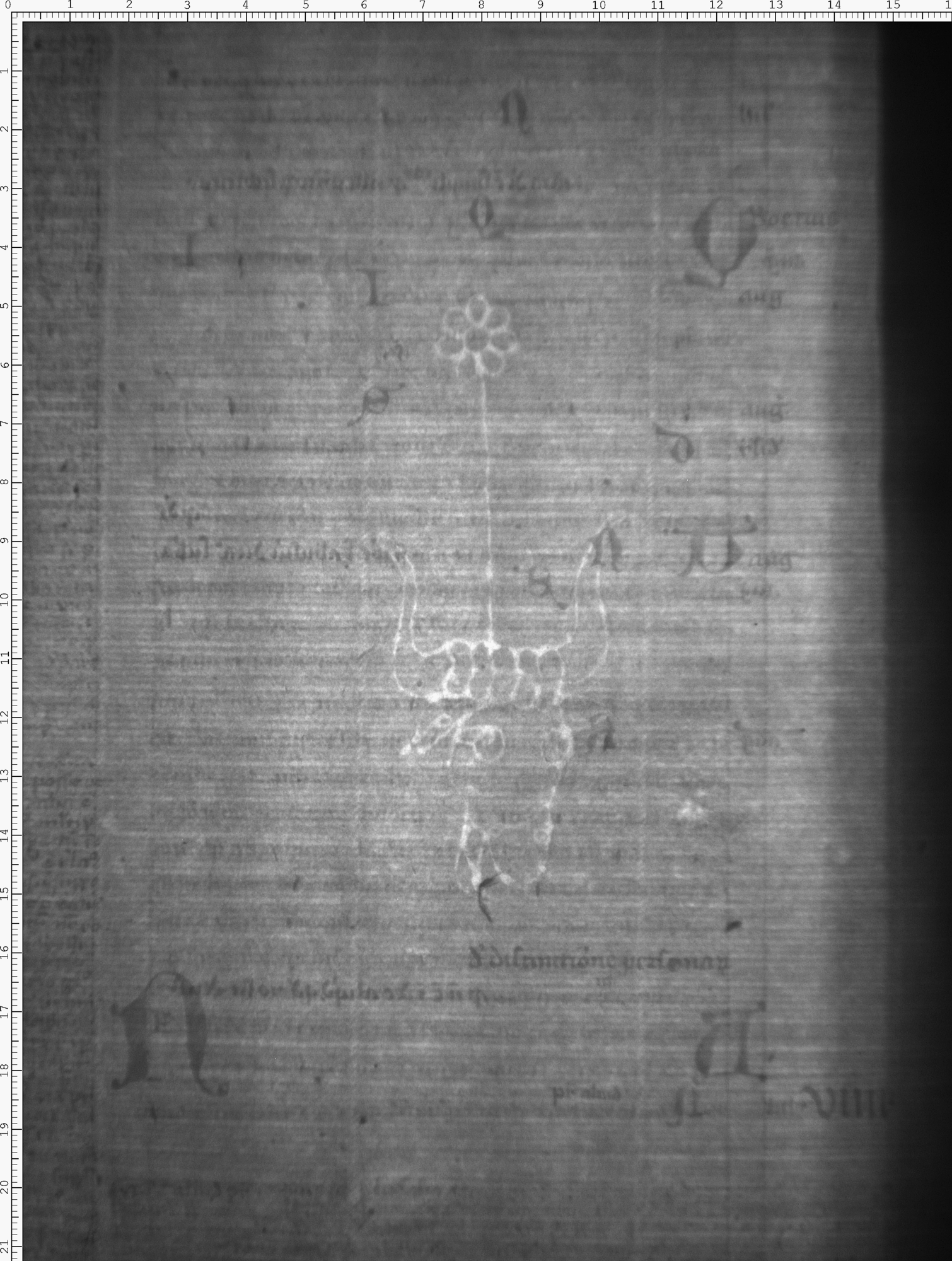 Watermark