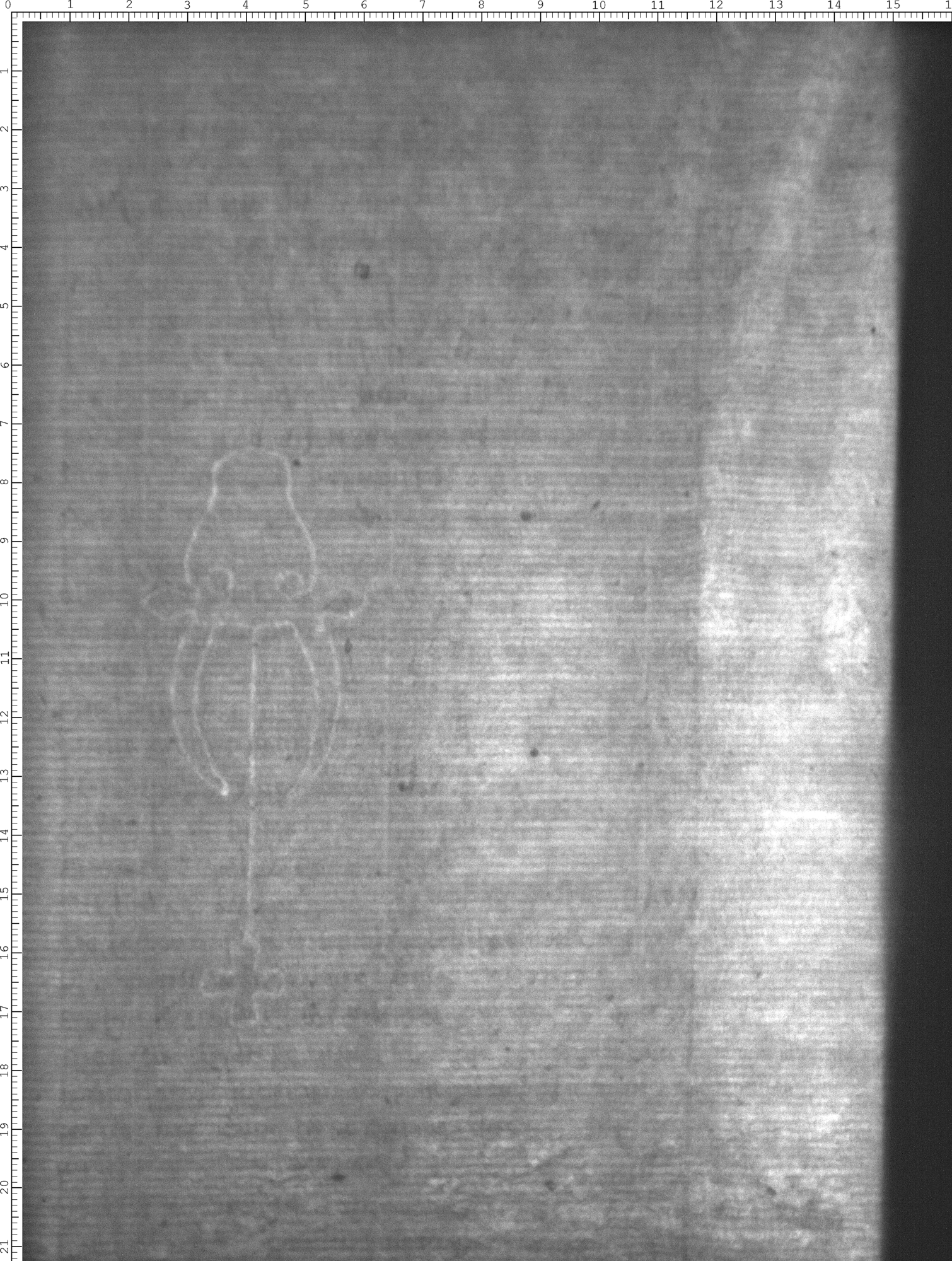 Watermark