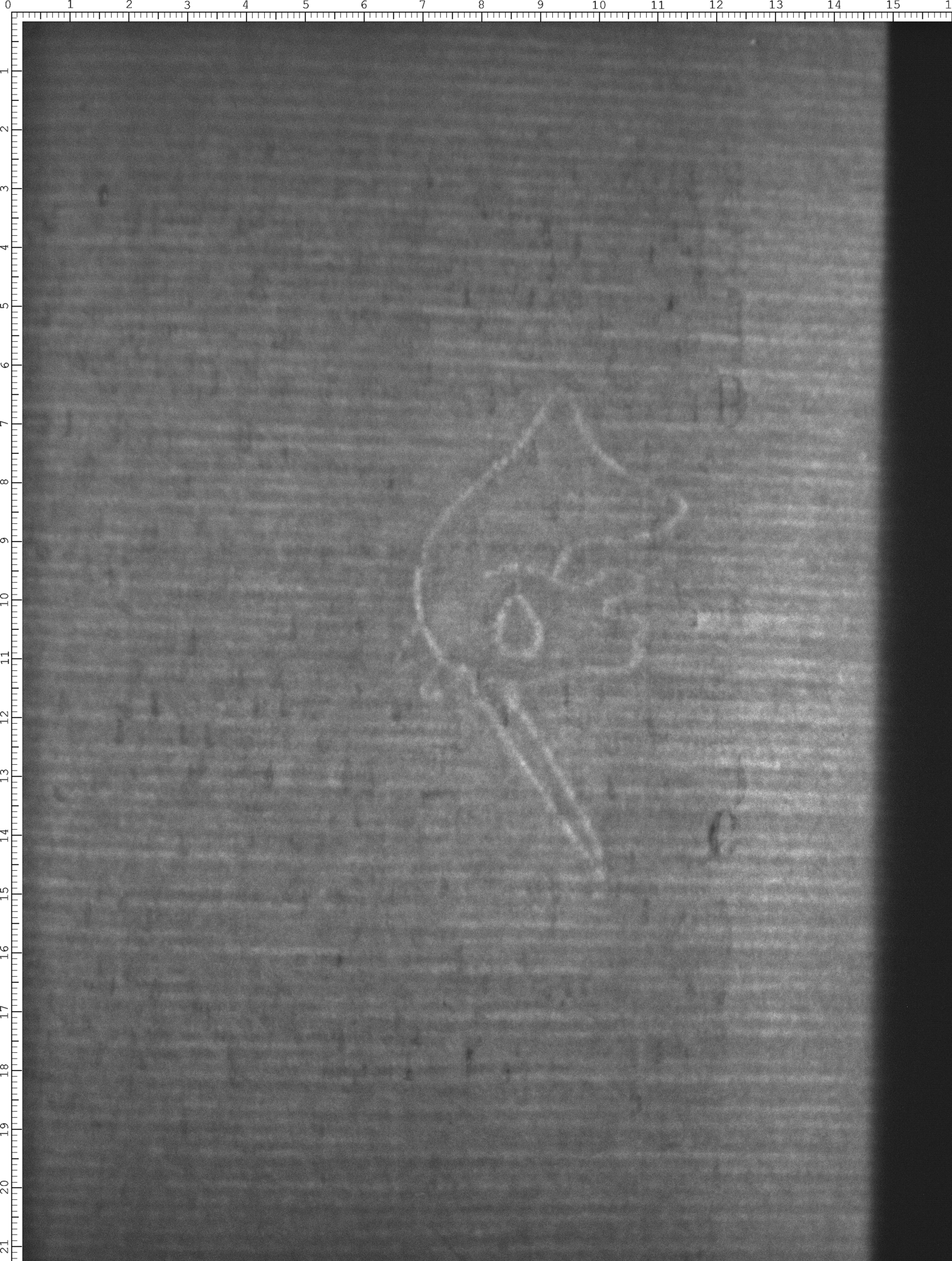 Watermark