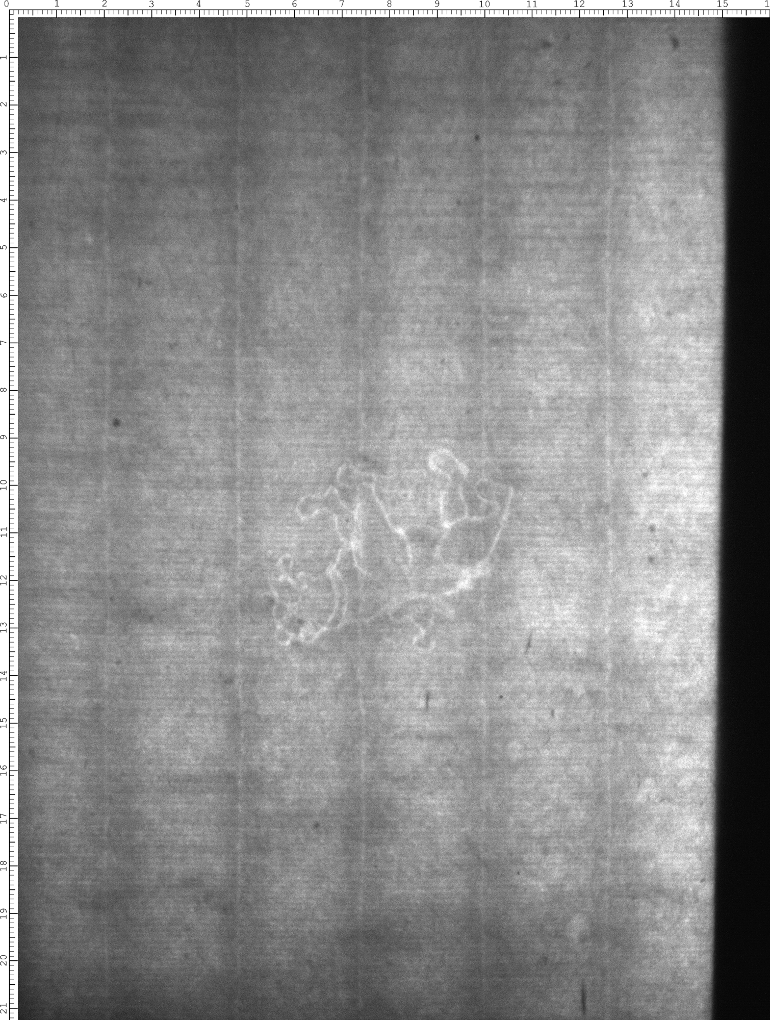 Watermark