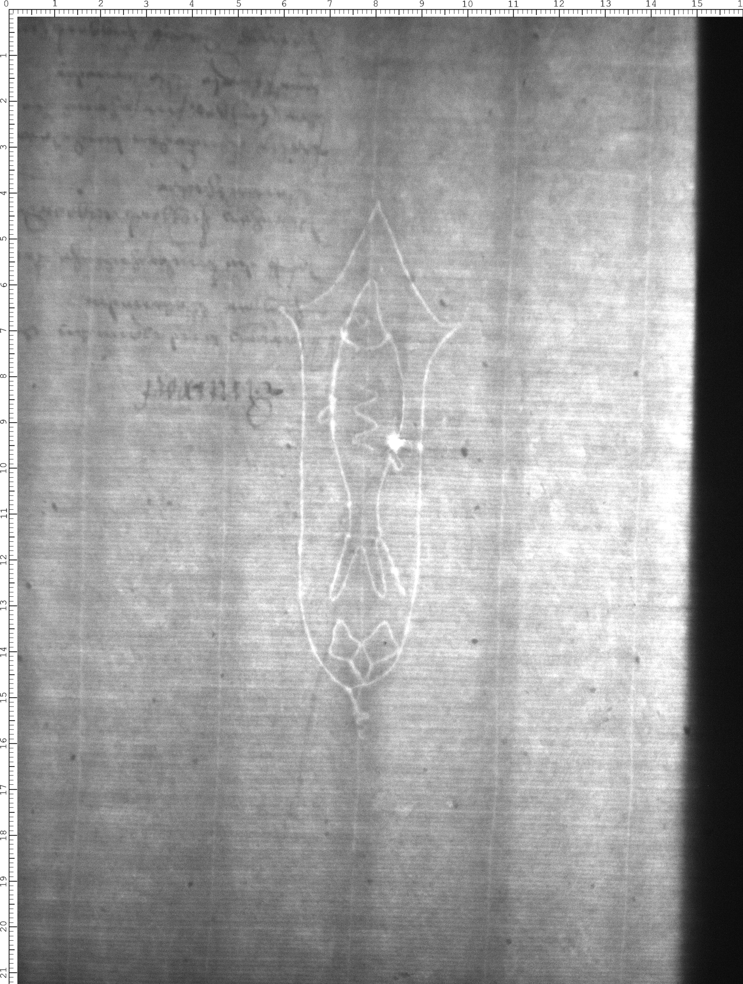 Watermark