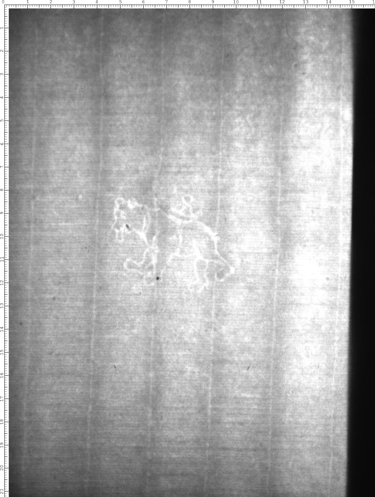 Watermark